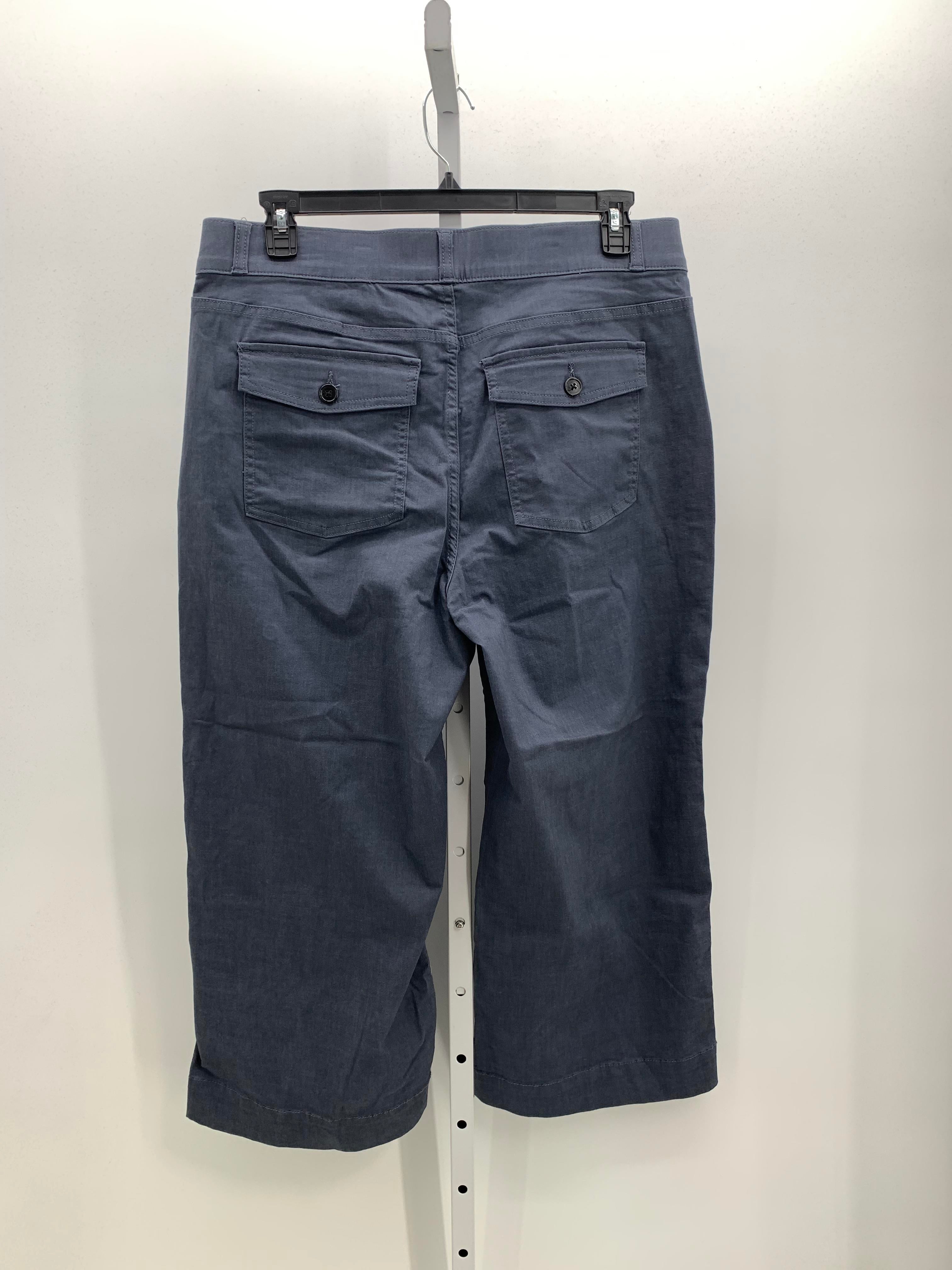 Terra & Sky Size 0X Womens Pants