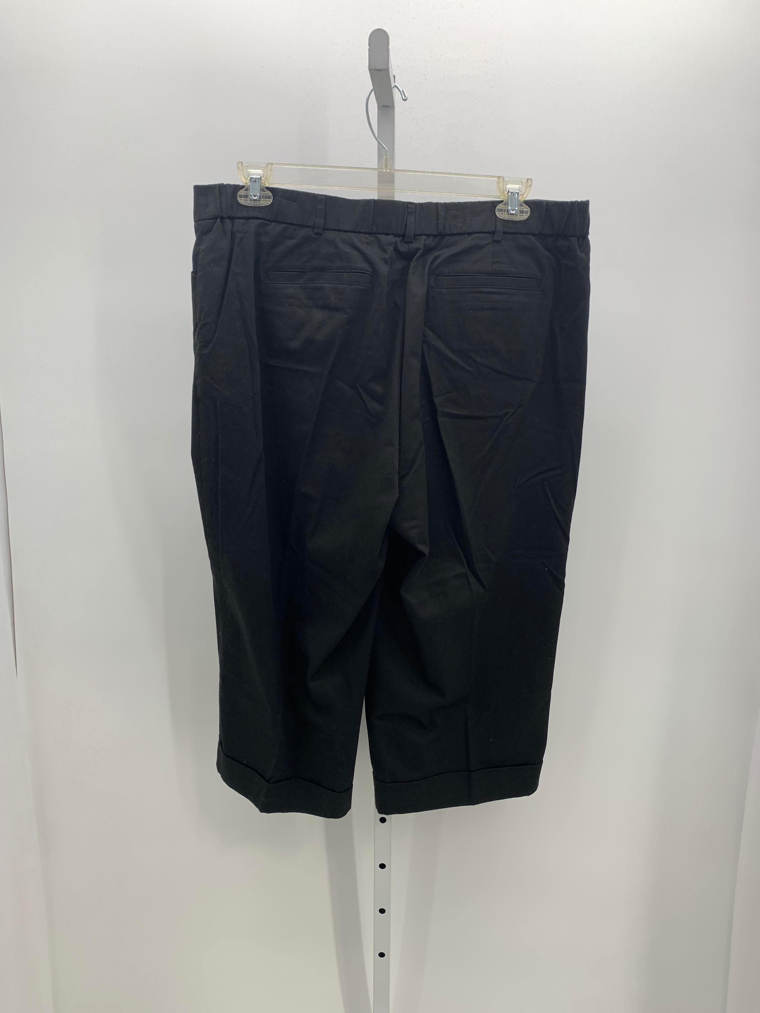 Counterparts Size 18 Misses Pants