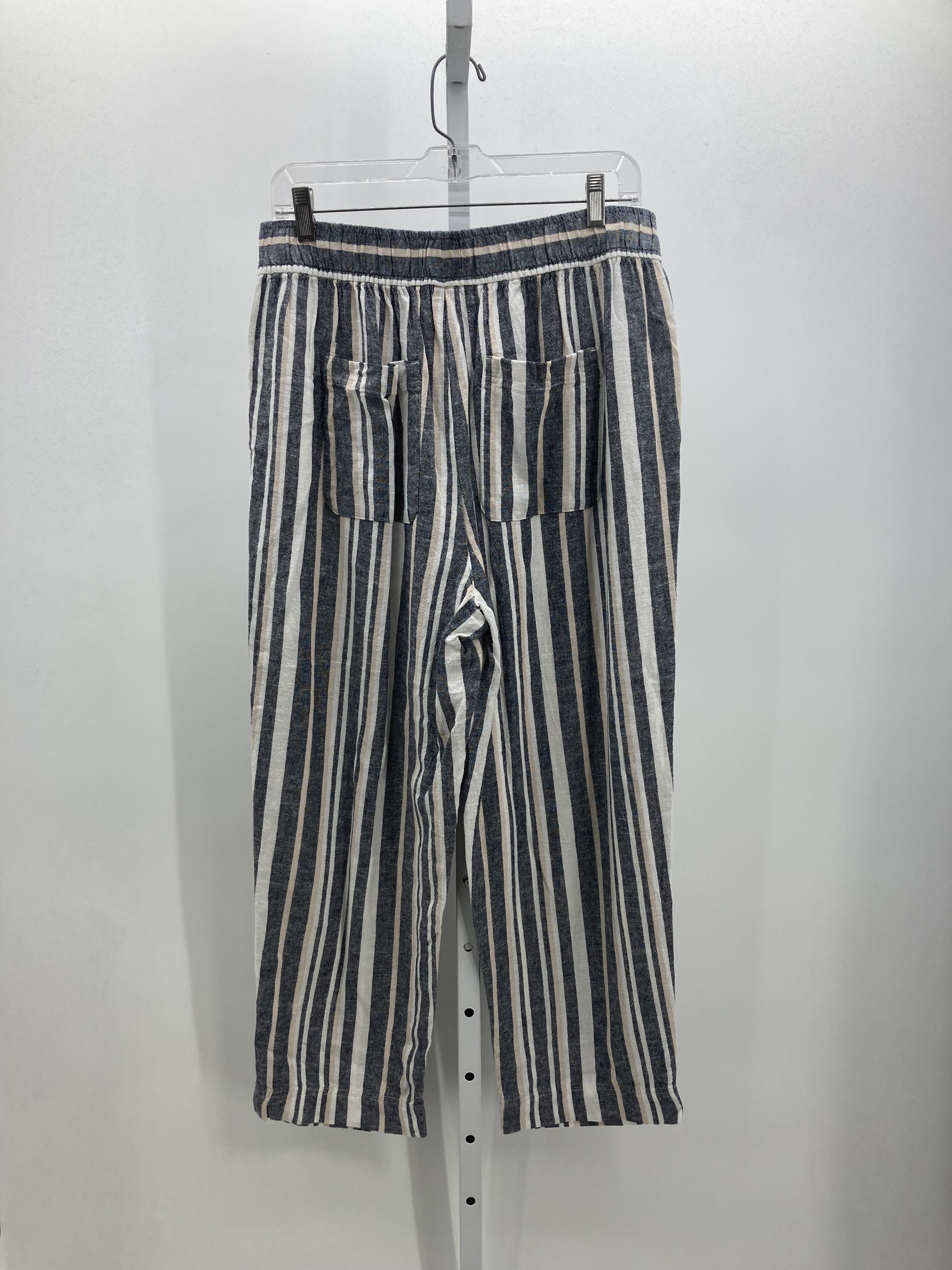 Loft Size Large Misses Pants