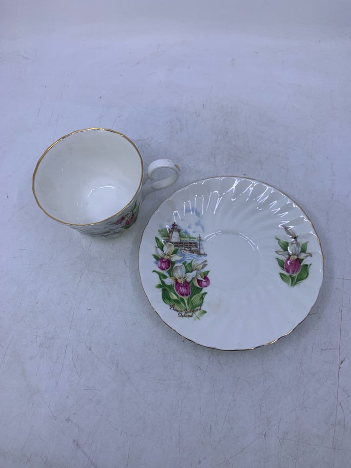 PRINCE EDWARDS ISLAND TEACUP SAUCER.