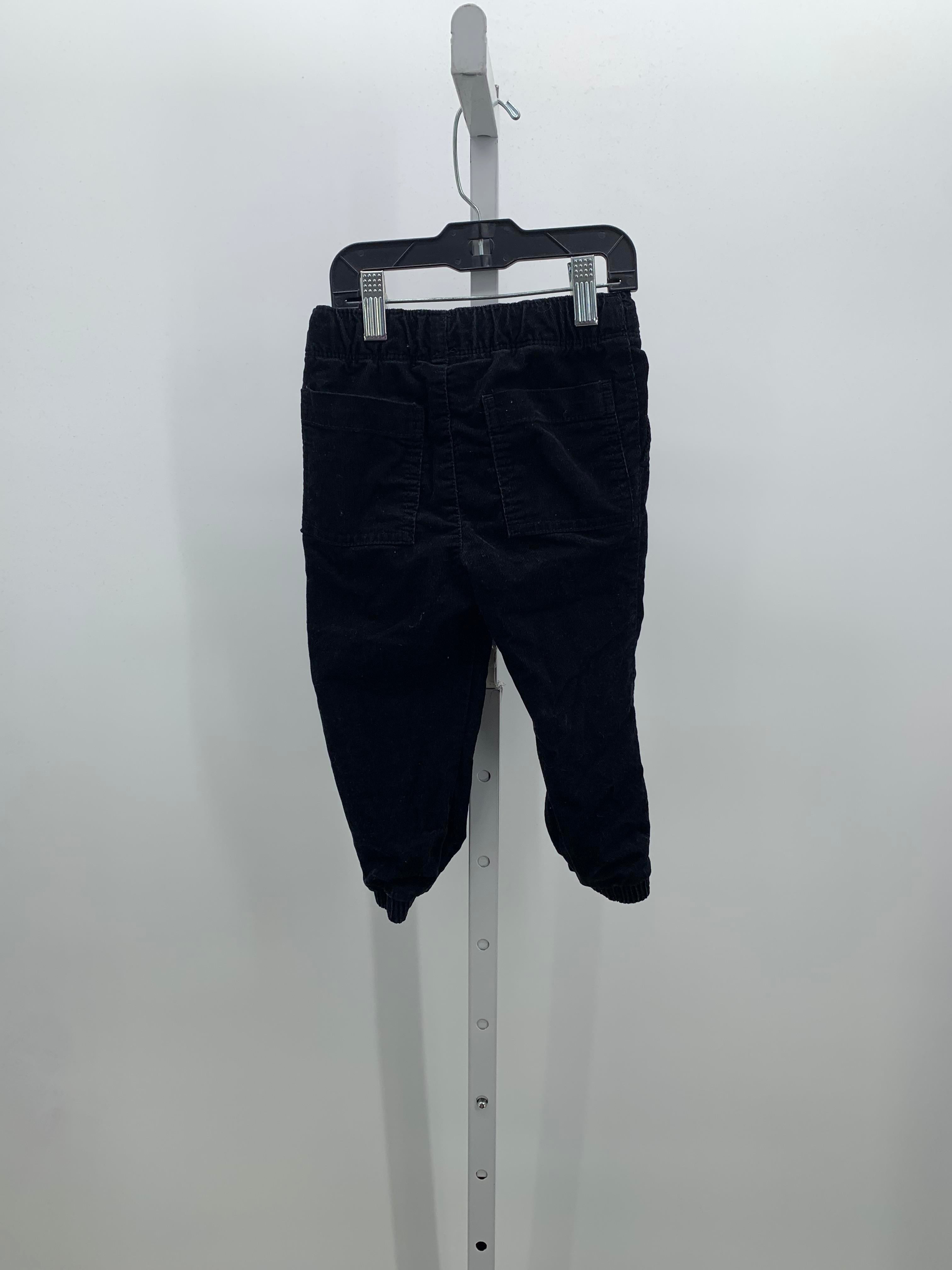 DRAW WAIST LINED PANTS