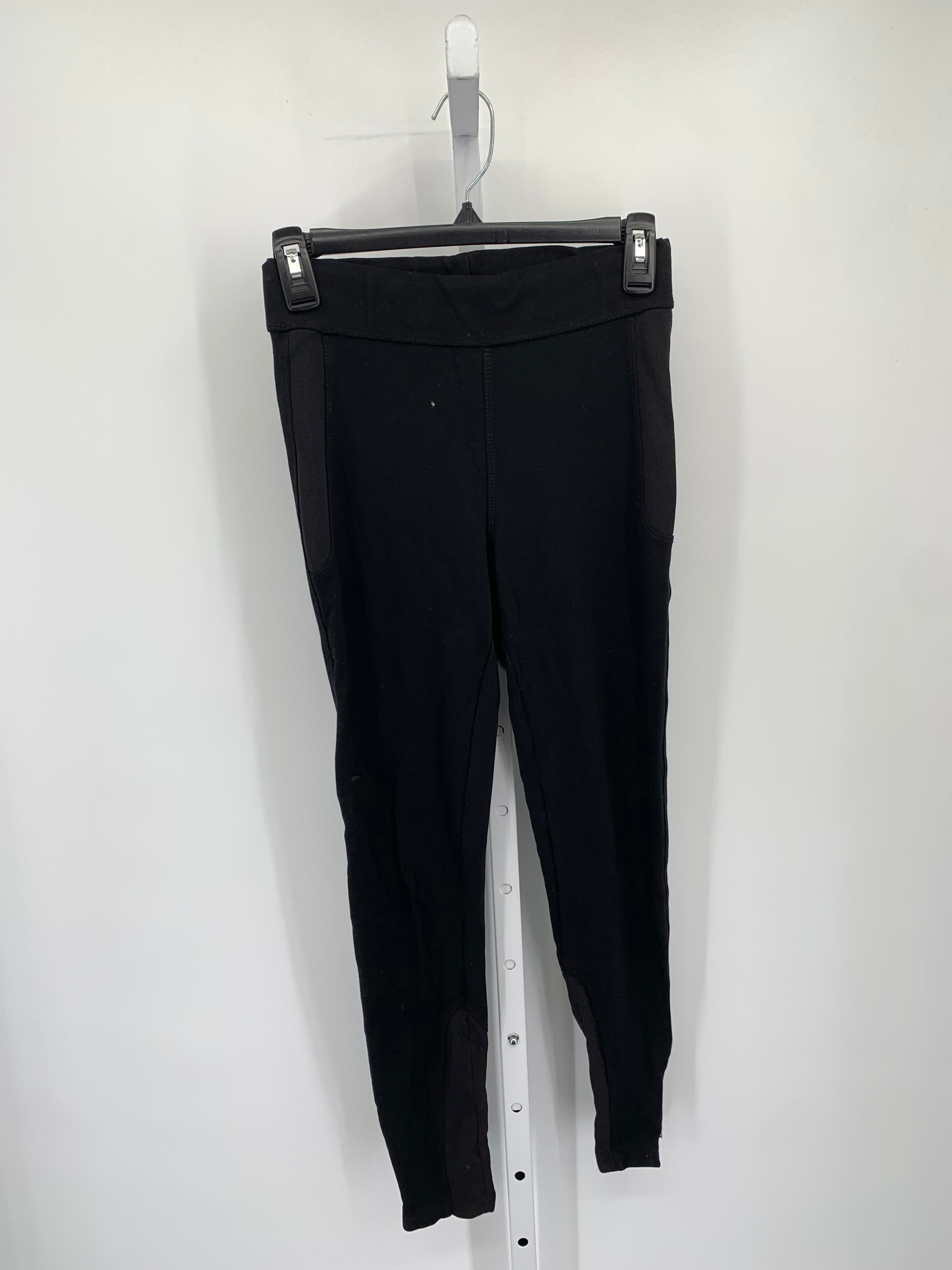 Zara Size Medium Misses Pants