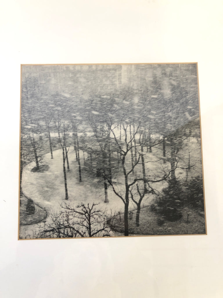 BLACK/WHITE TREES FRAMED PRINT.