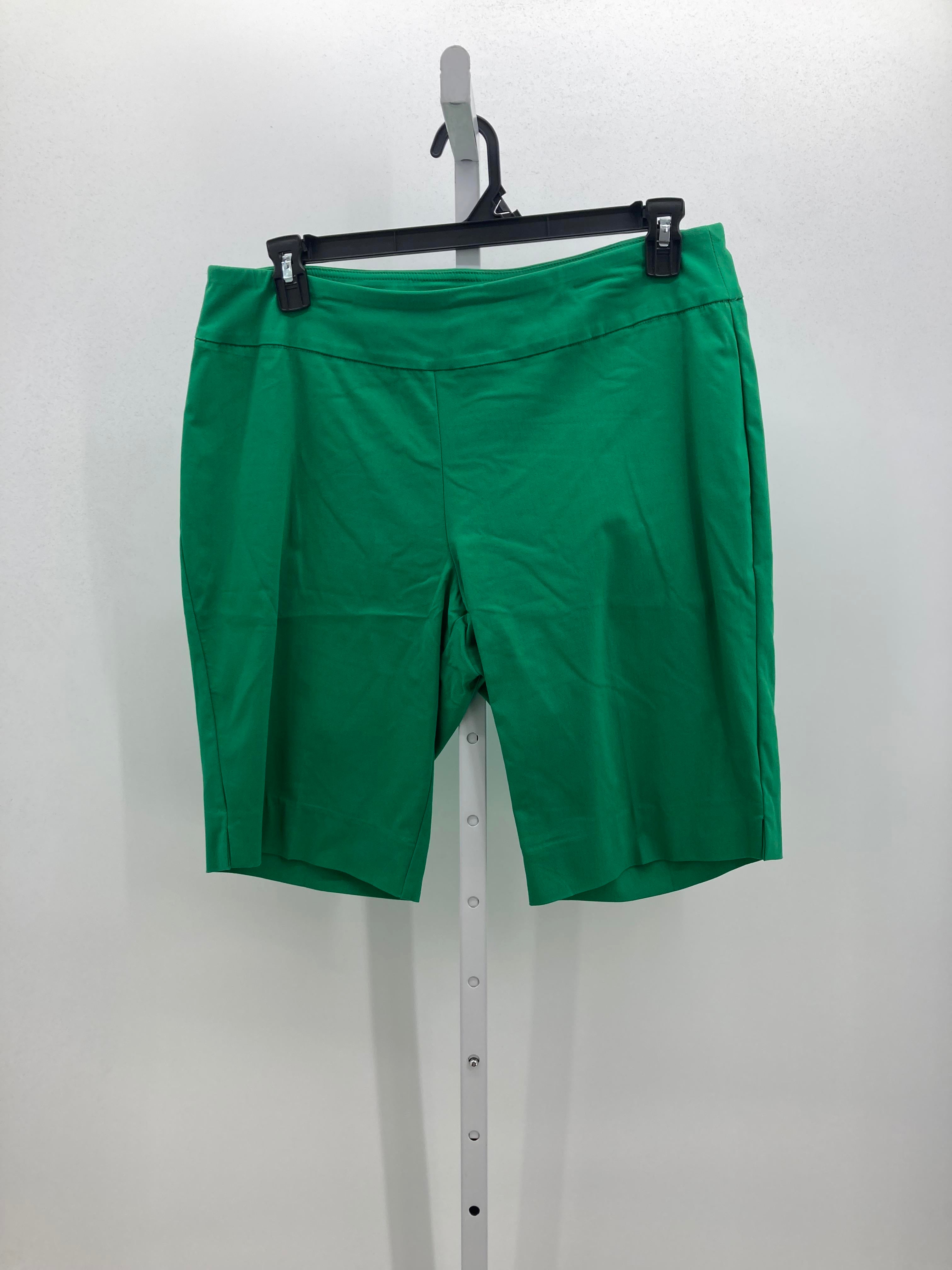 Zac & Rachel Size 16 Misses Shorts