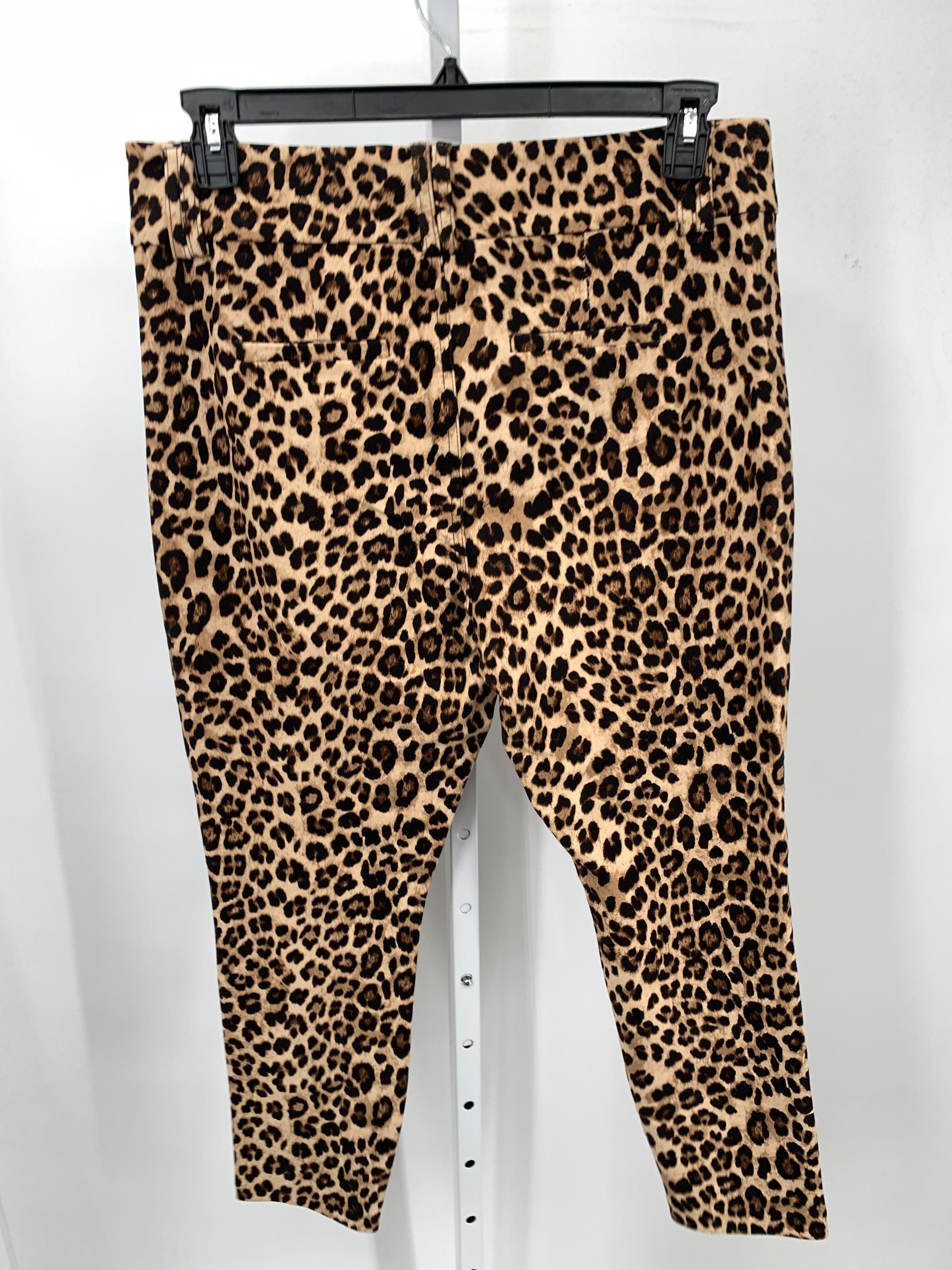 Torrid Size 14 W Womens Pants