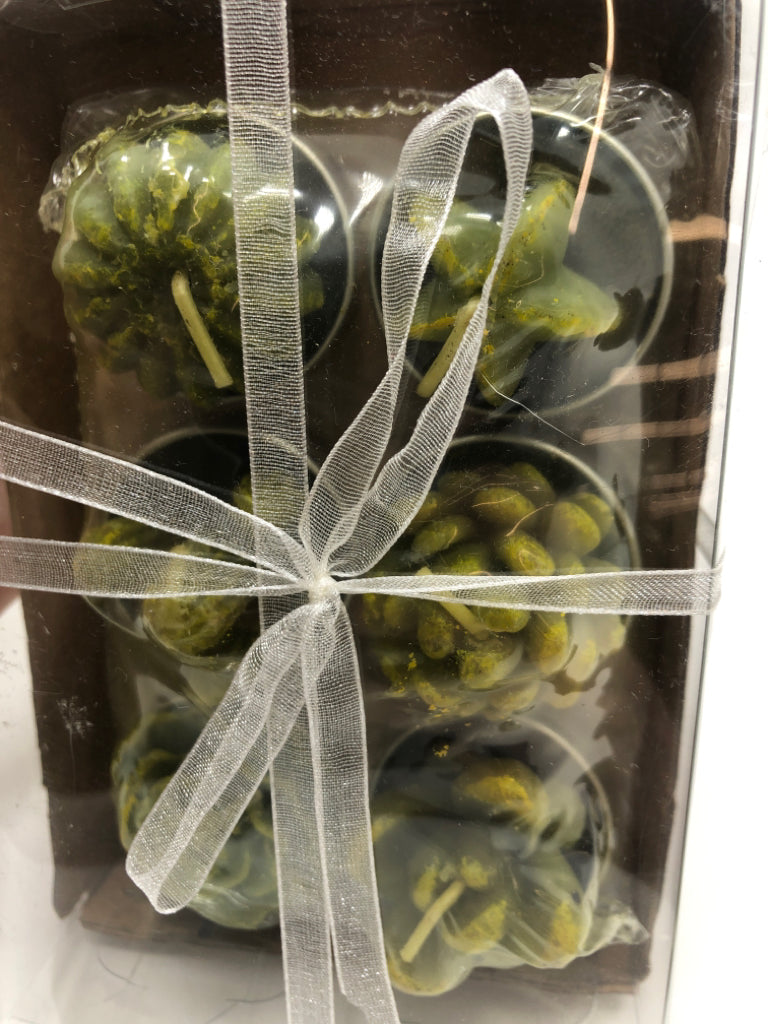 NIP CACTI CANDLES.