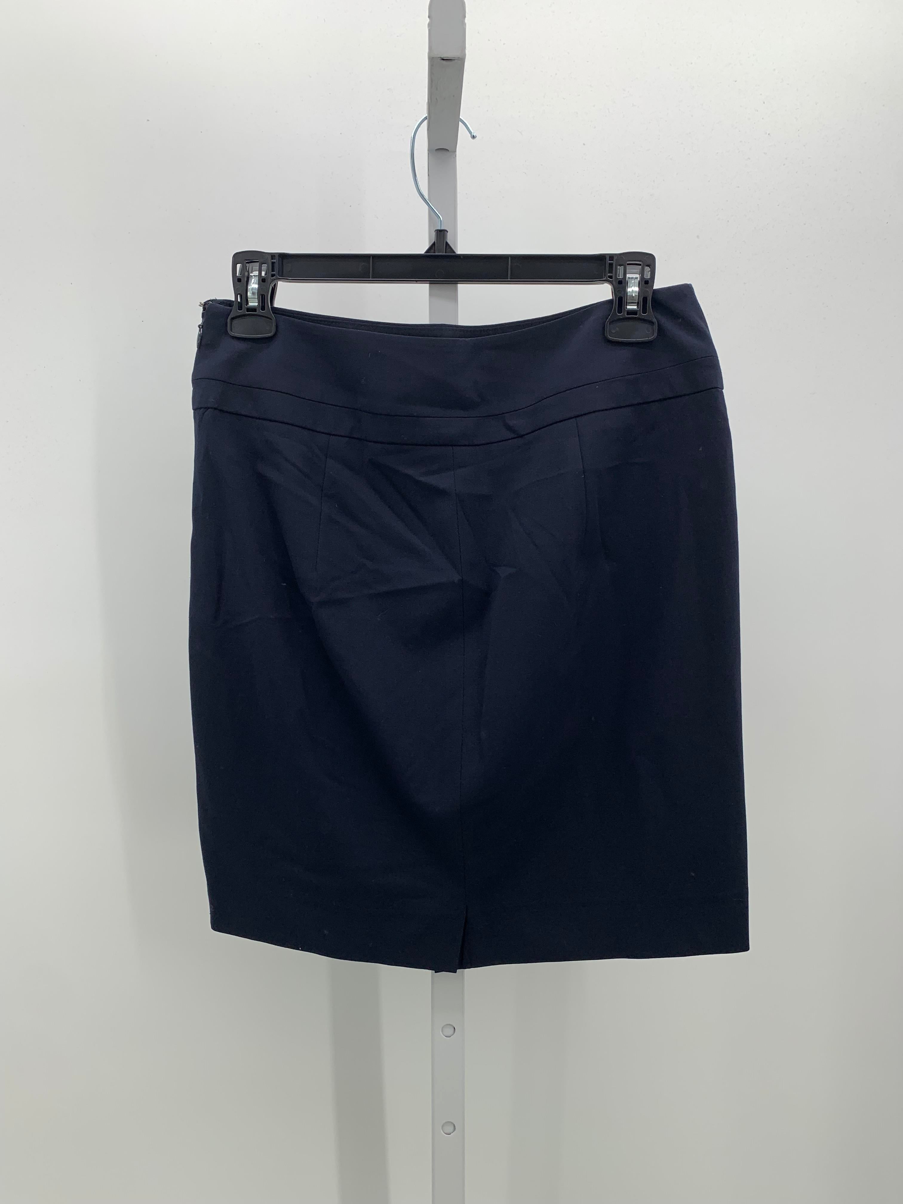 The Limited Size 4 Misses Skirt