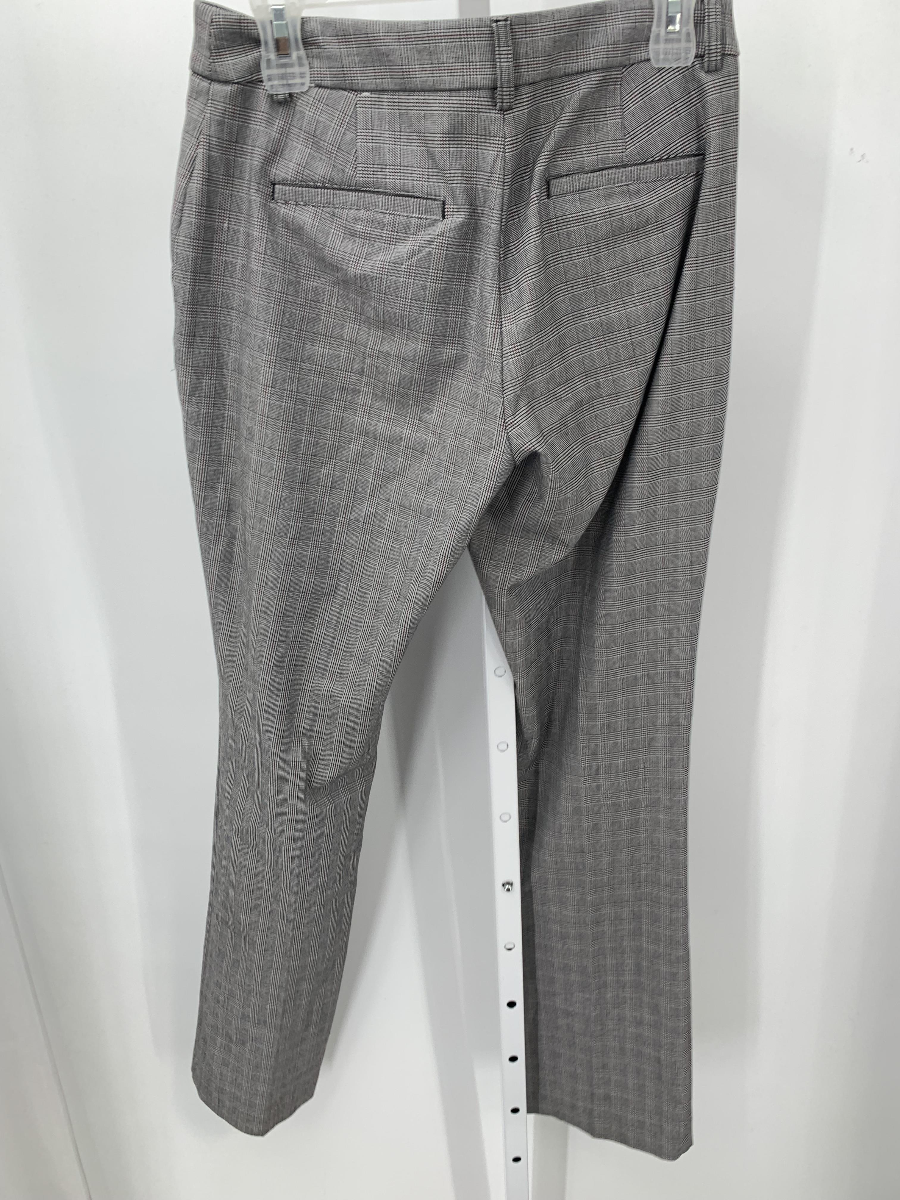 Express Size 6 Misses Pants