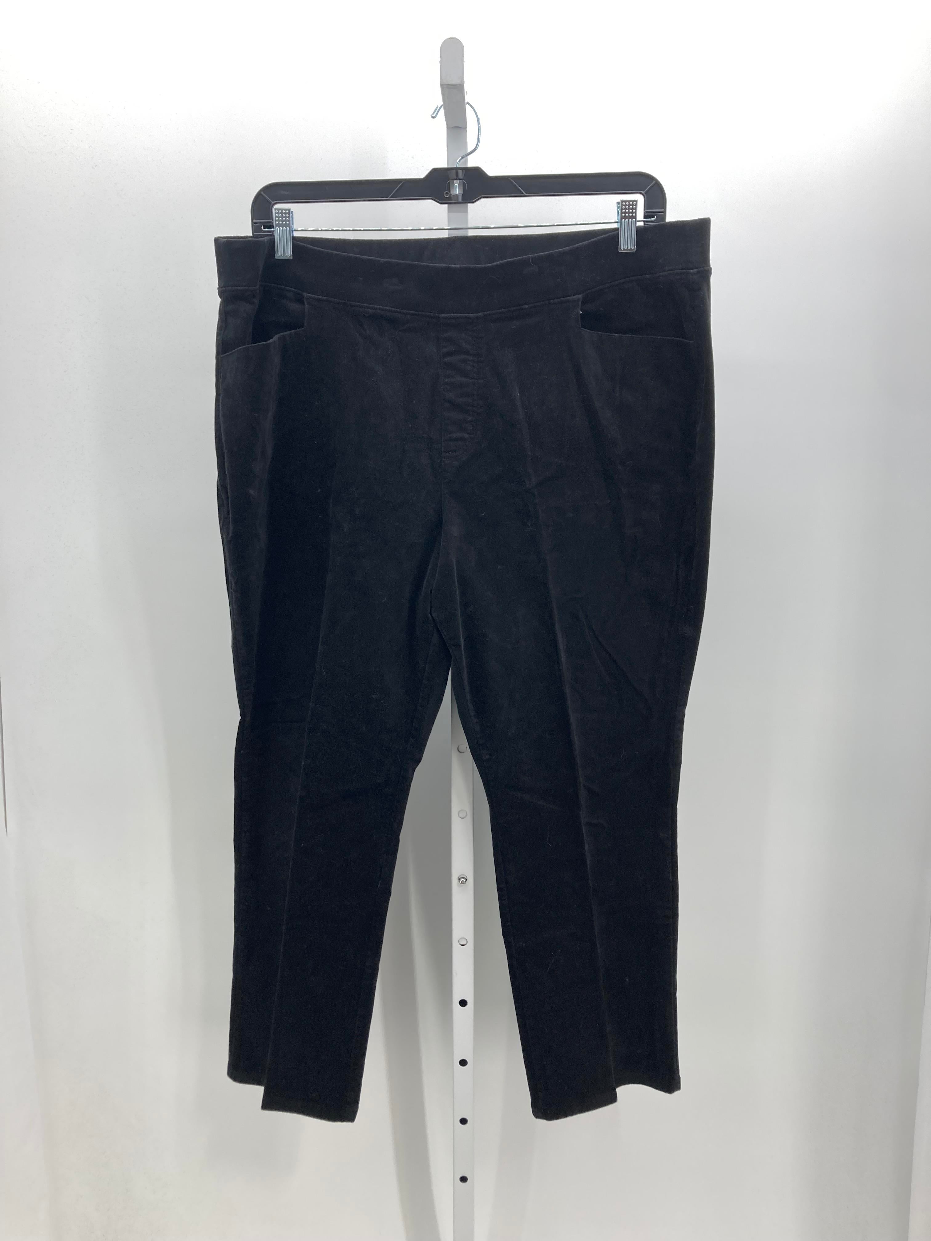 d & co. Size 1XP Womens Pants