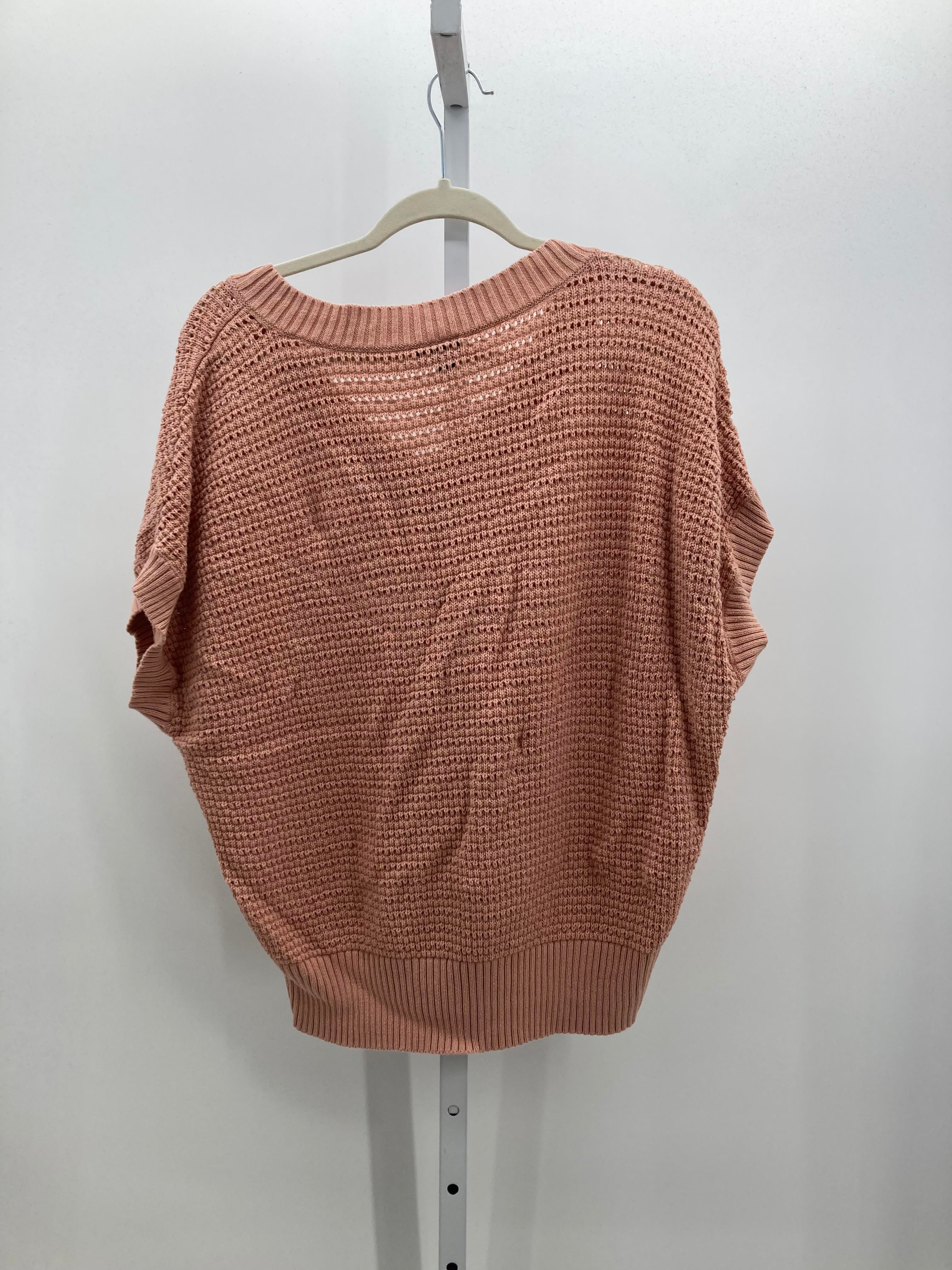 Ann Taylor Size Extra Large Misses Short Slv Sweater