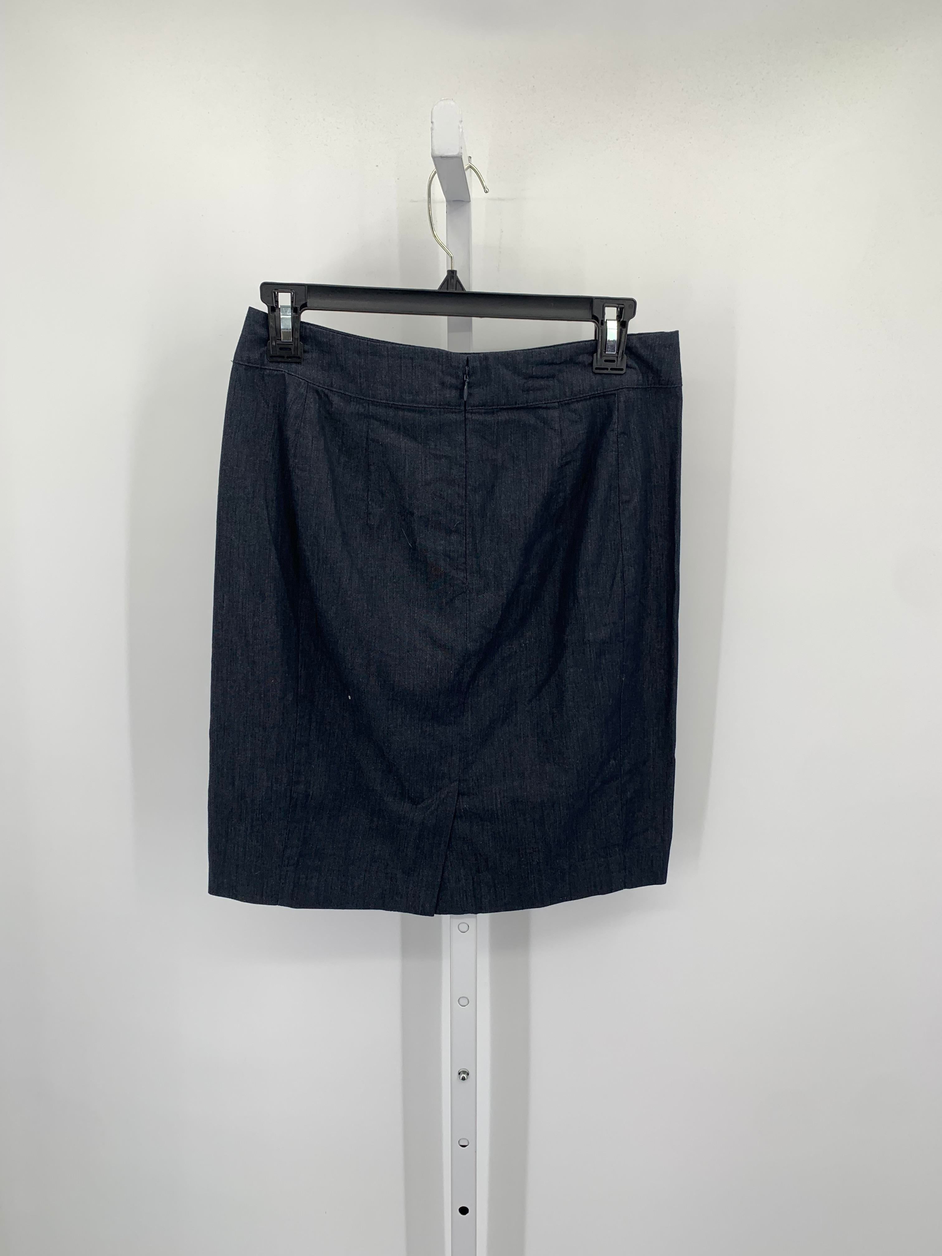 Loft Size 2 Misses Skirt