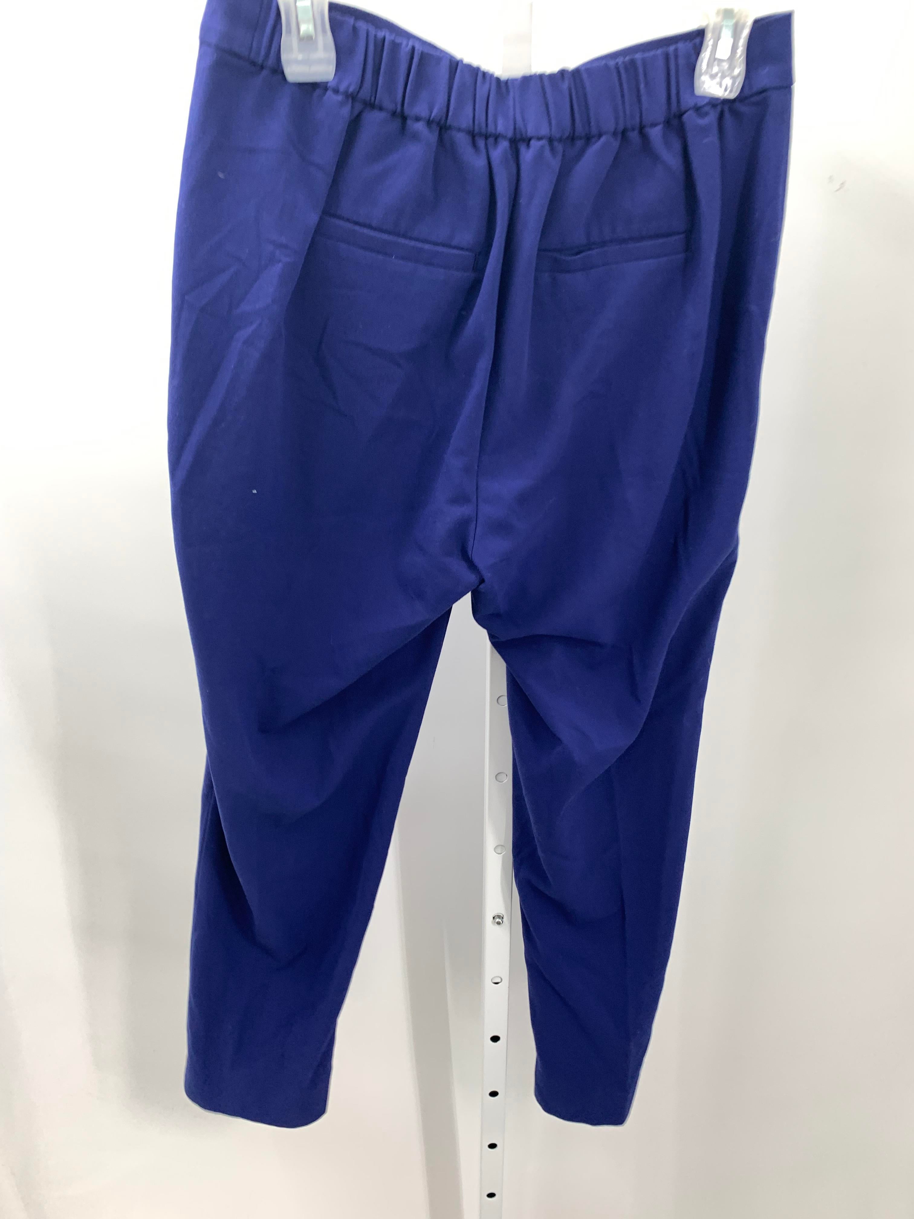 Banana Republic Size 6 Misses Pants