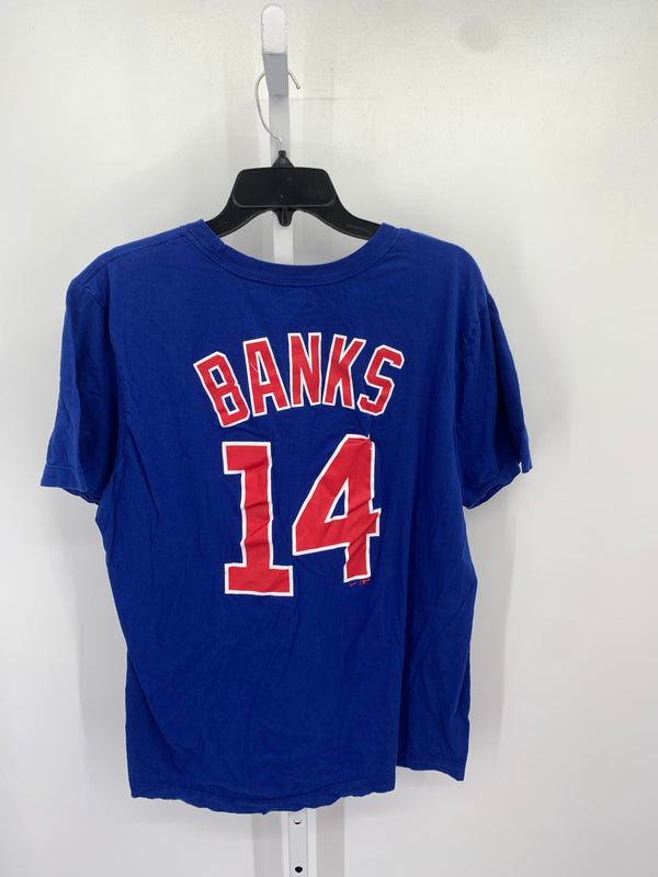 CHICAGO CUBS BANKS 14