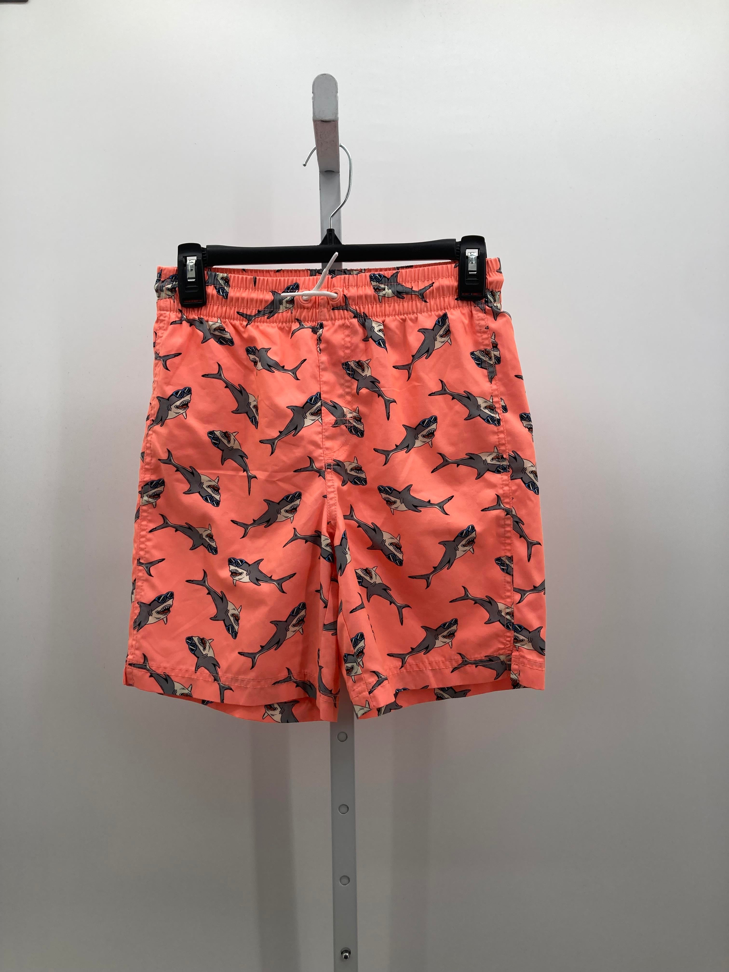 SUNGLASSES SHARKS