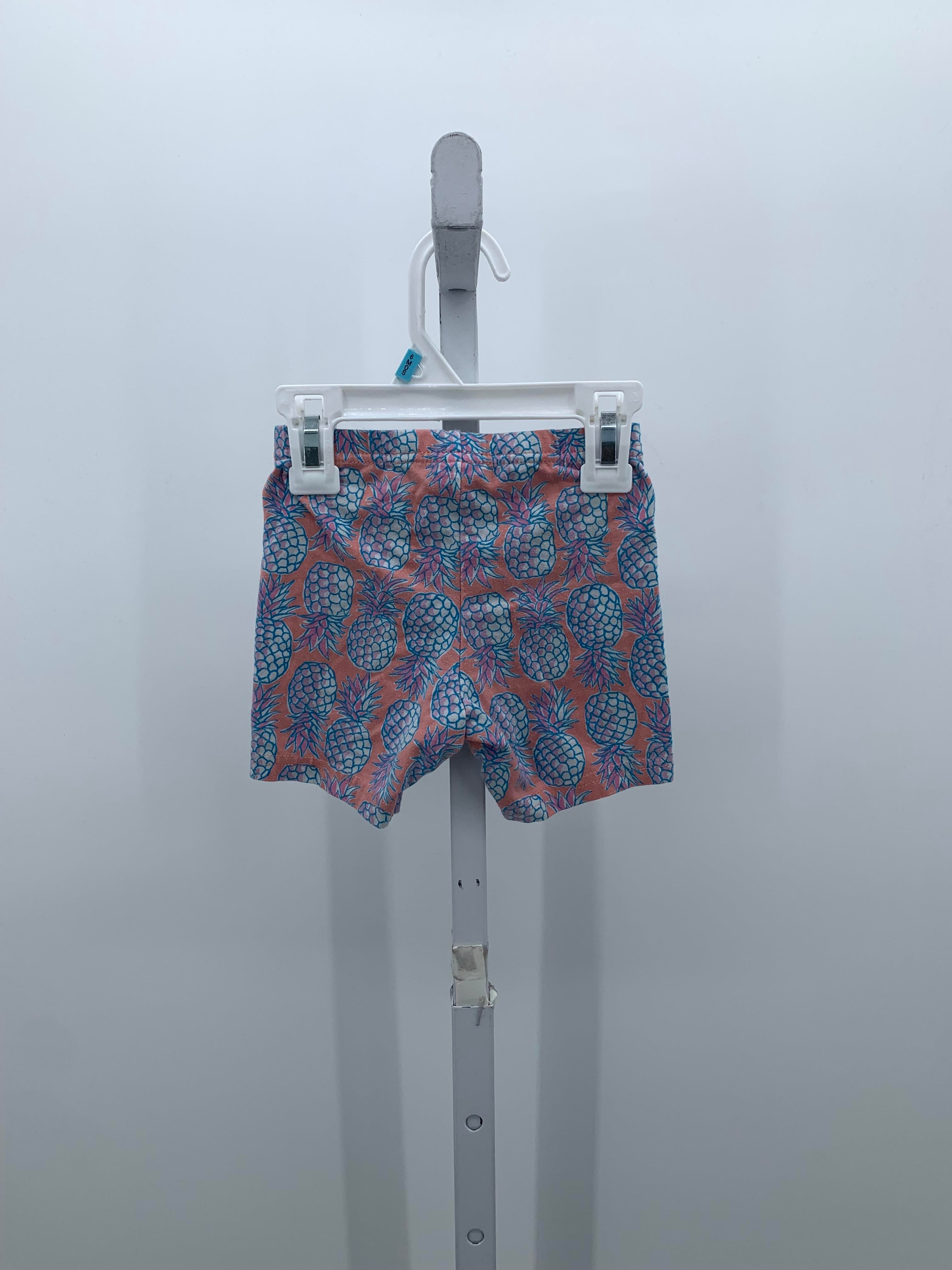 Carters Size 24 Months Girls Shorts