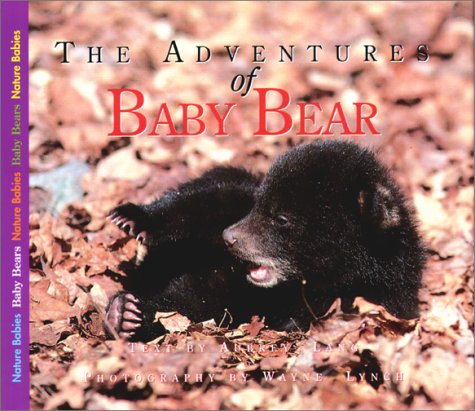 Nature Babies: the Adventures of Baby Bear (Hardcover) - Aubrey Lang