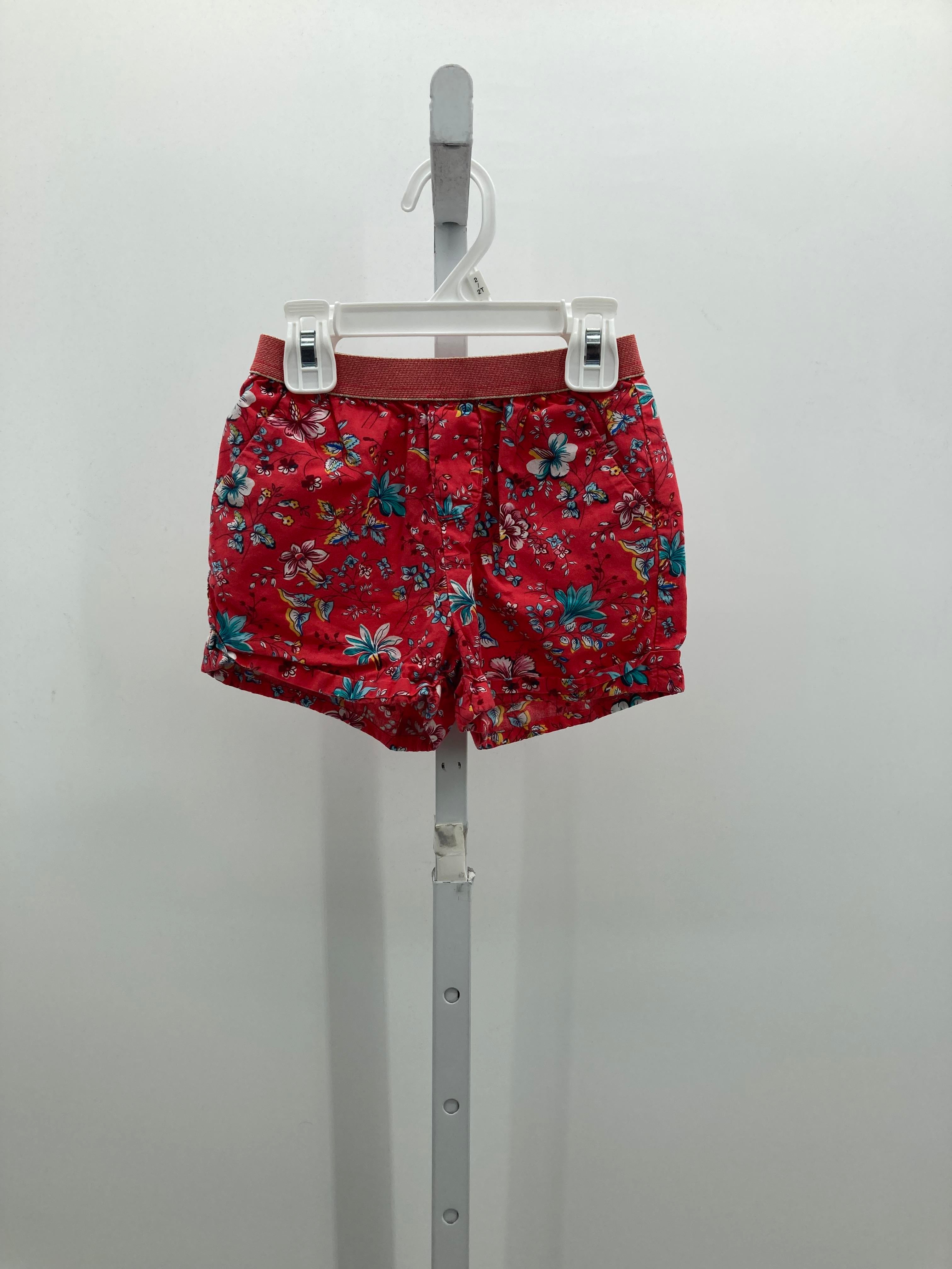 Baby Gap Size 3T Girls Shorts
