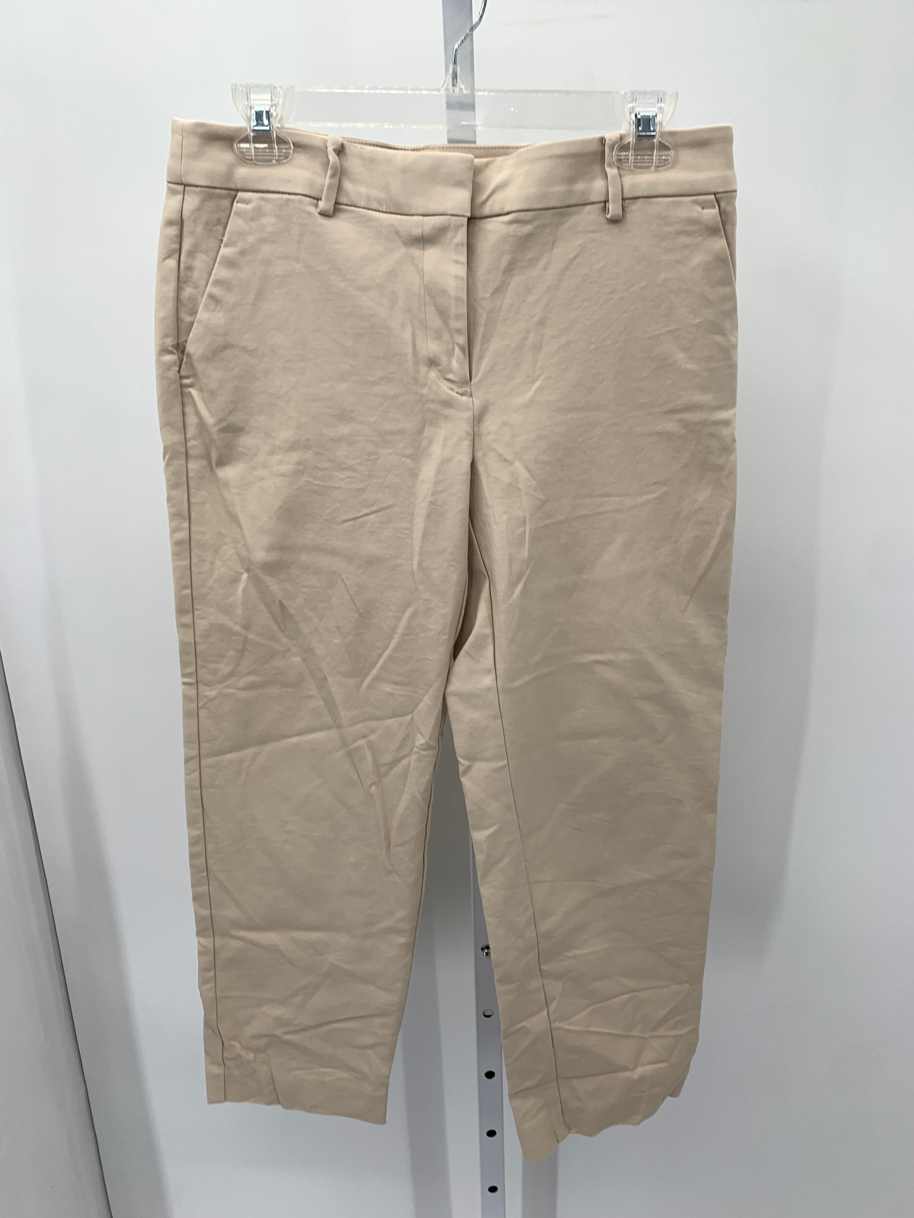Loft Size 6 Misses Pants