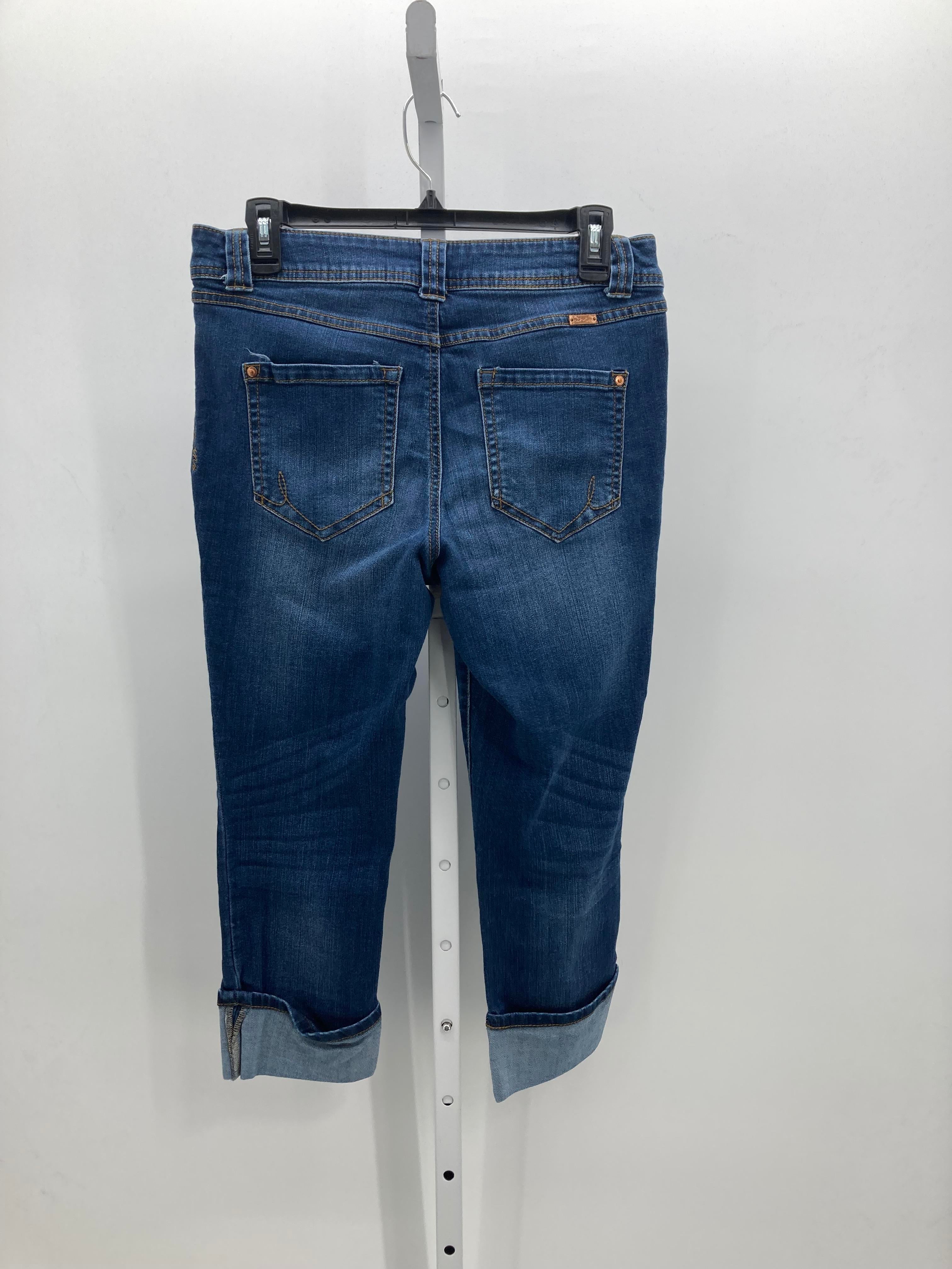 INC Size 10 Petite Petite Cropped Pants