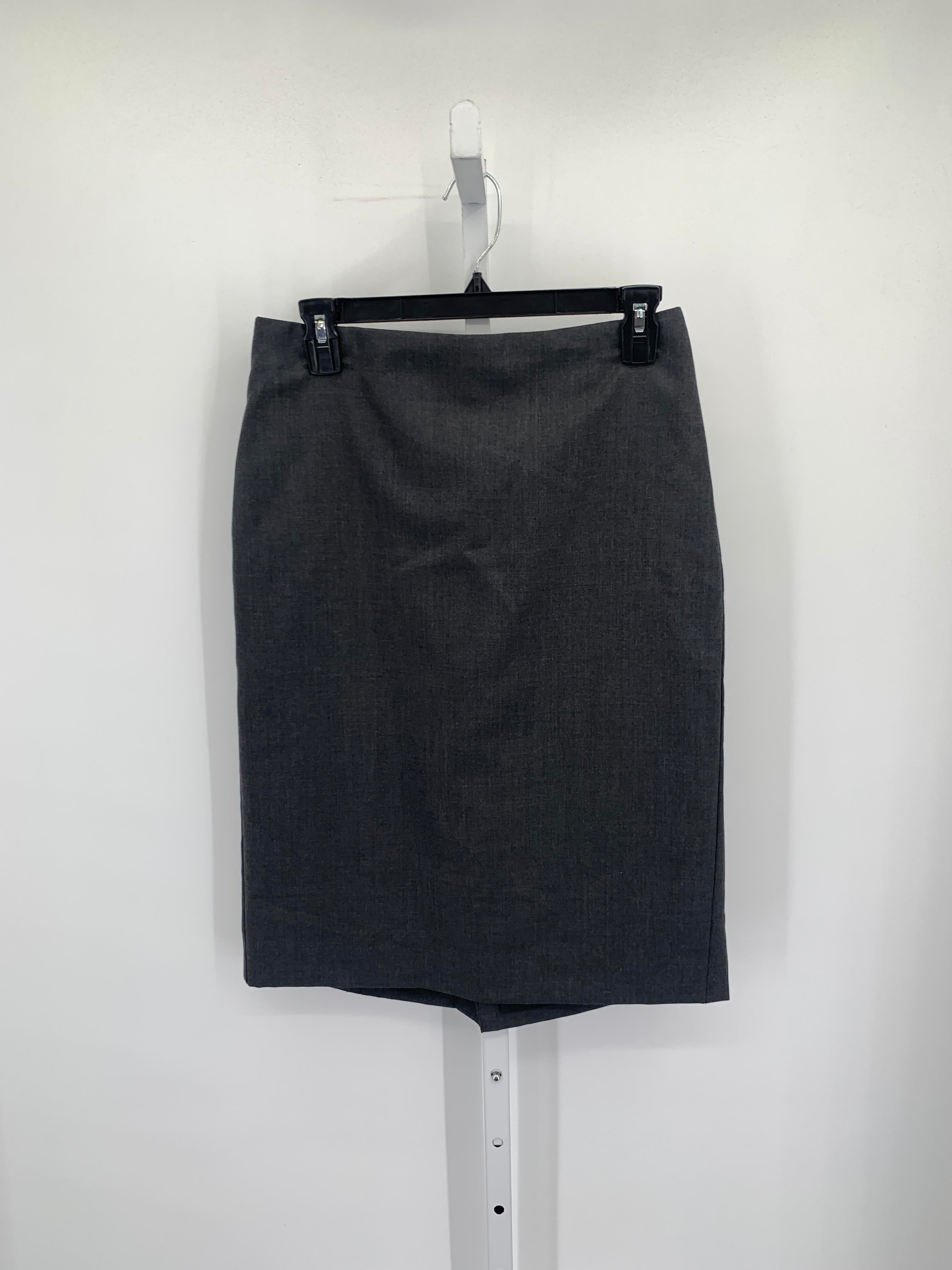 Ann Taylor Size 6 Misses Skirt