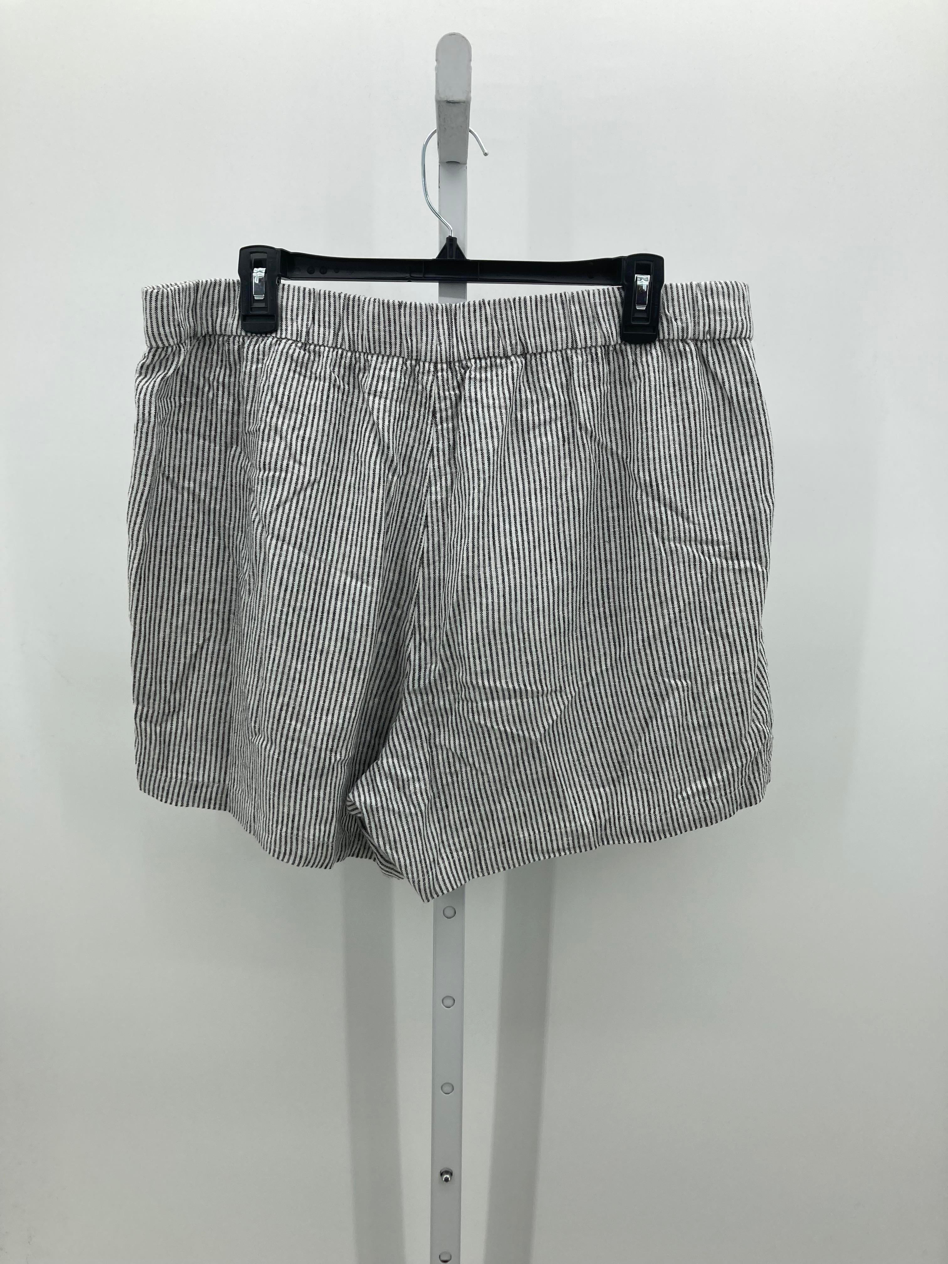 J. Crew Size Large Misses Shorts
