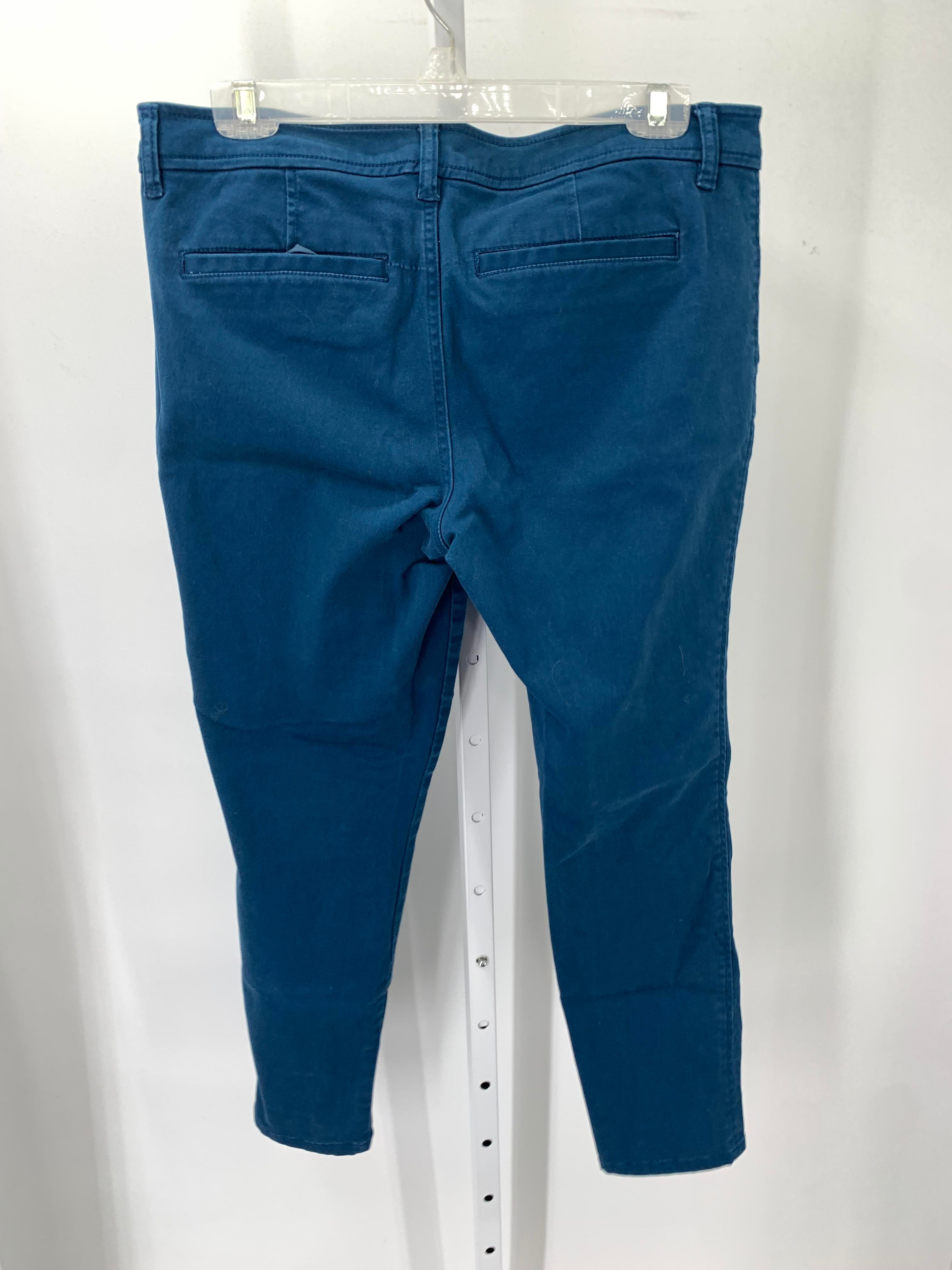 market & spruce Size 12 Petite Petite Pants