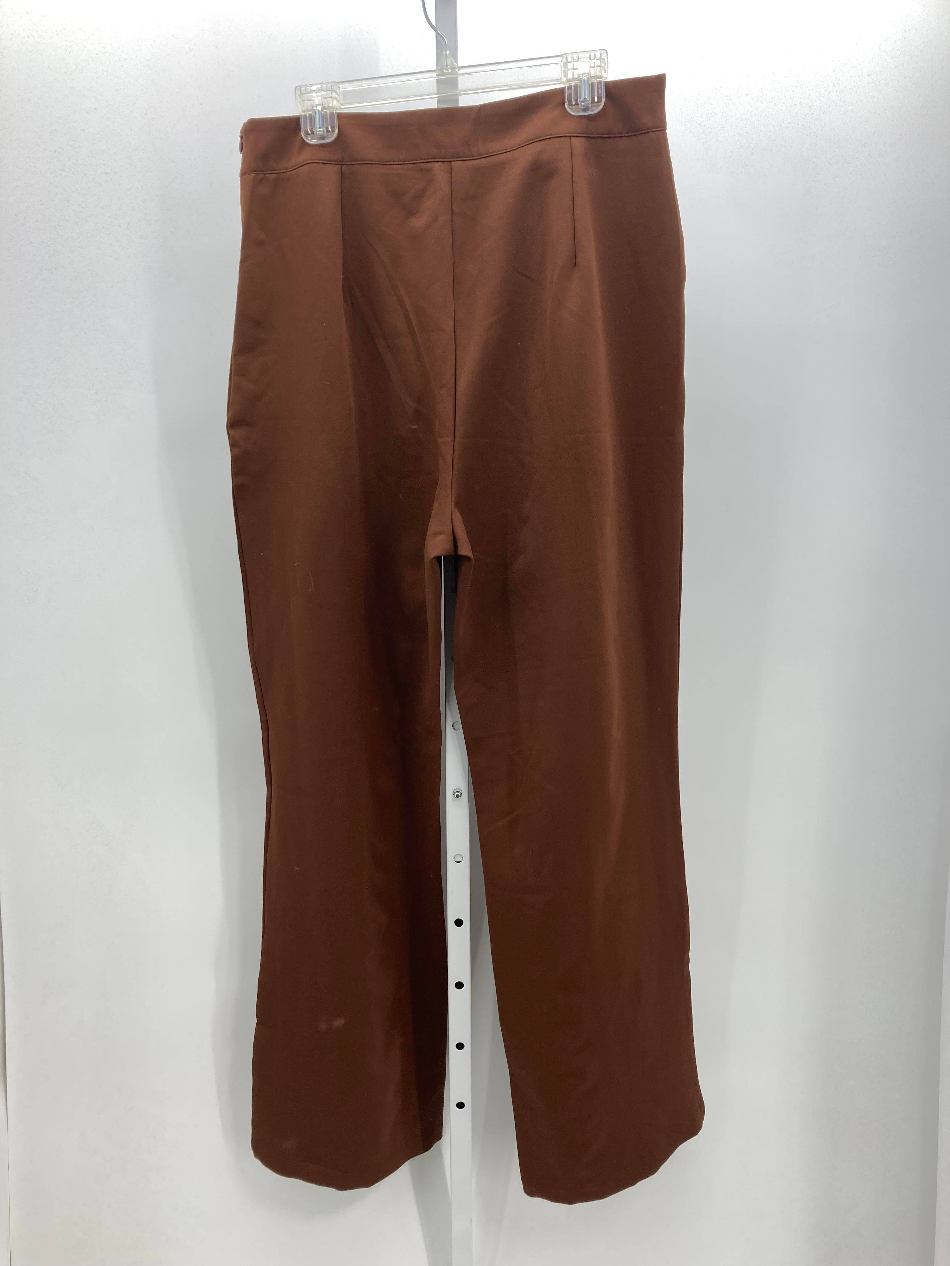 boohoo Size 12 Misses Pants