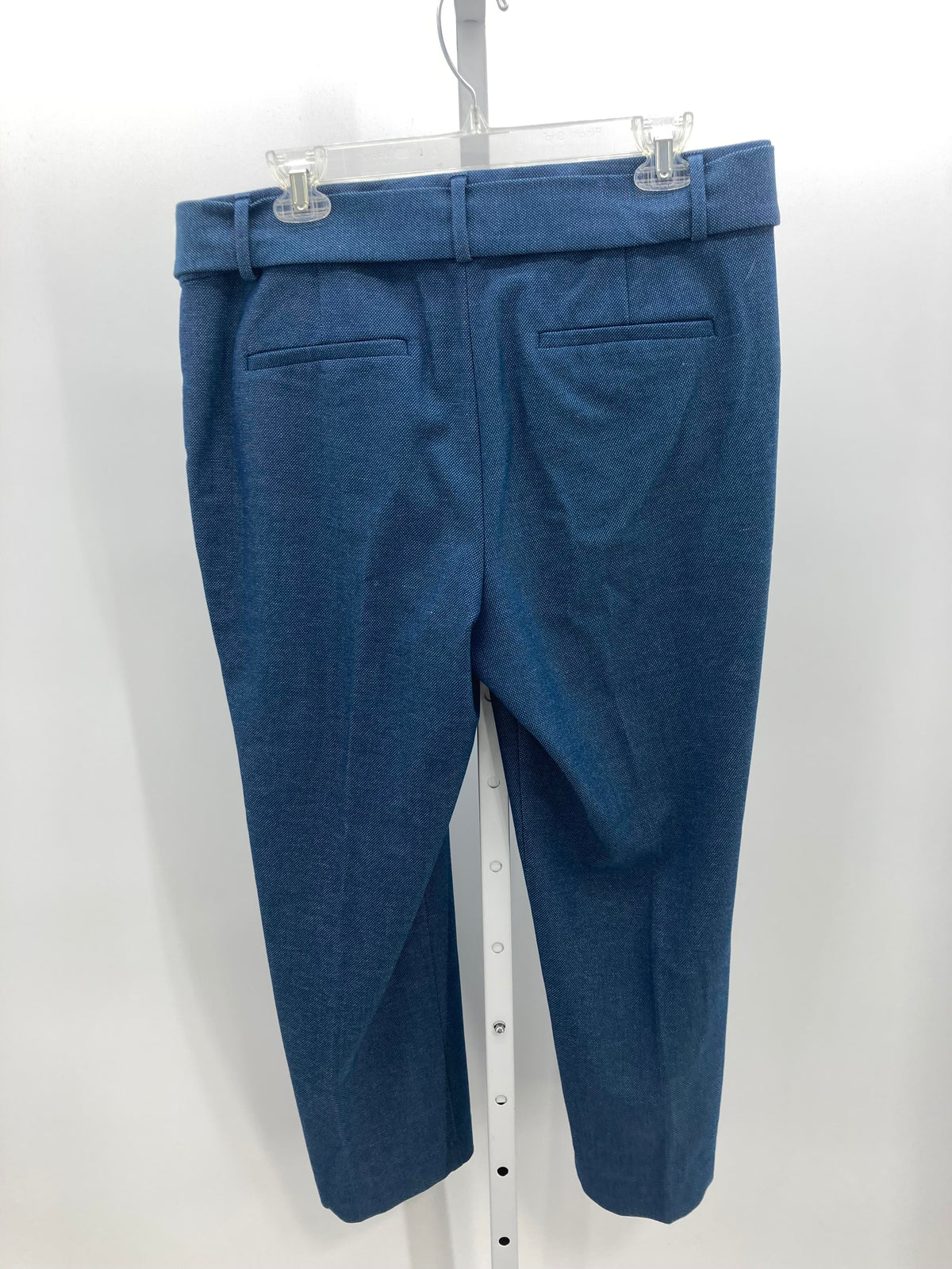 Loft Size 12 Misses Pants