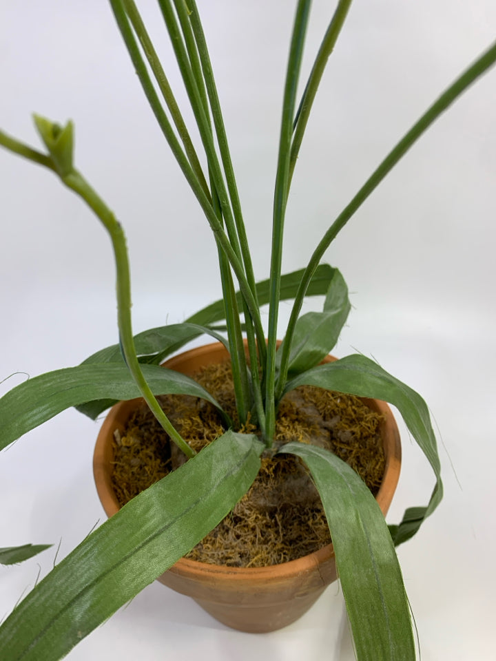 FAUX PURPLE ORCHID FLOWERS IN TERRA COTTA POT.