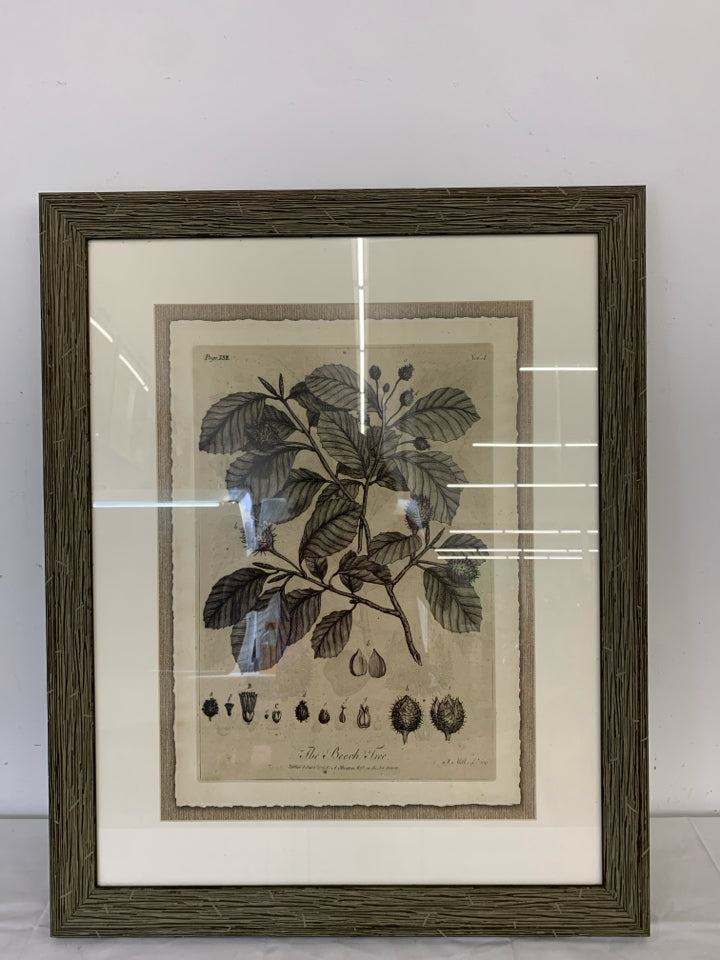 THE BEECH TREE BLACK/WHITE LARGE WALL ART DISTRESSED FRAME.