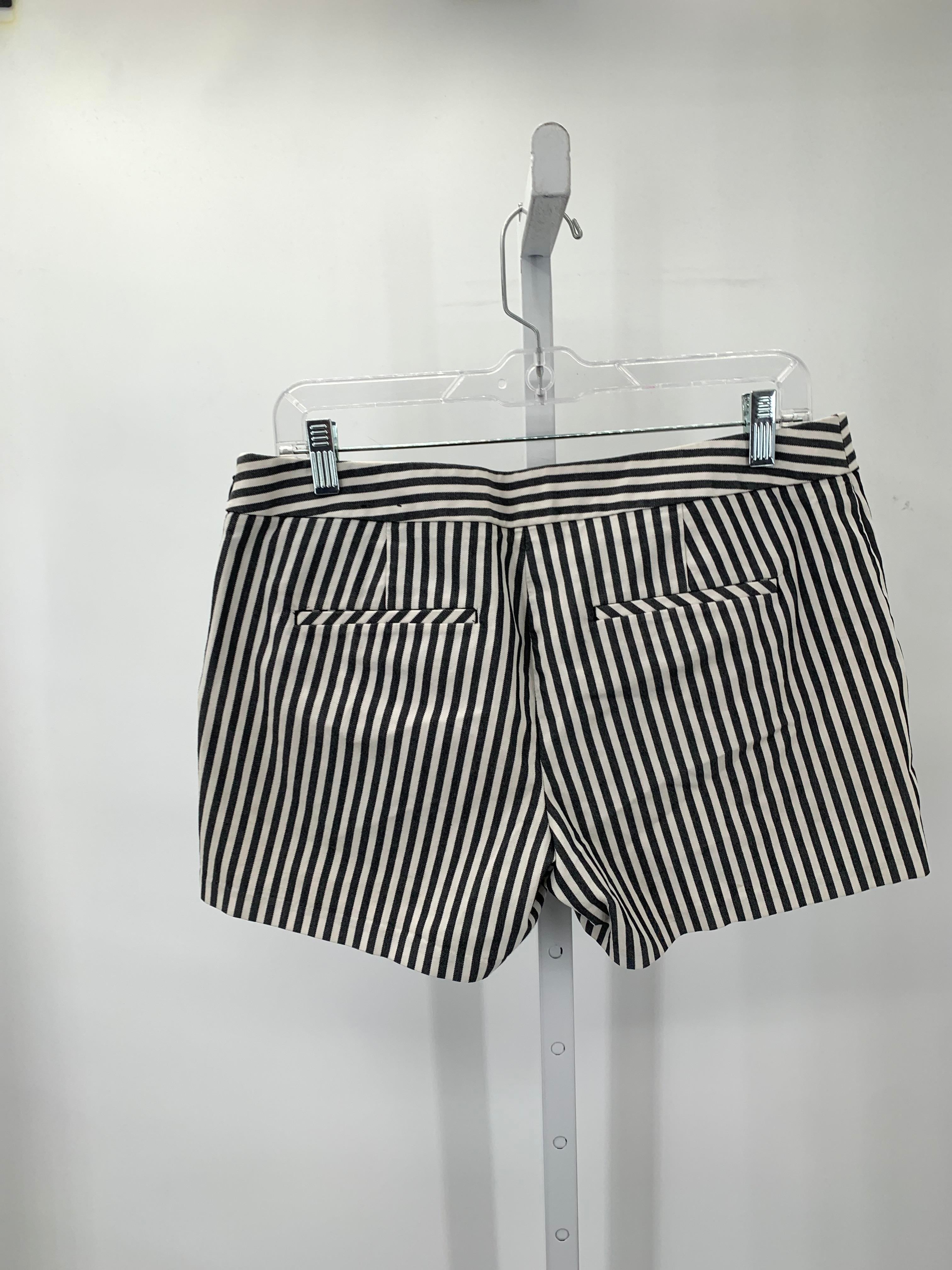 Express Size 10 Misses Shorts