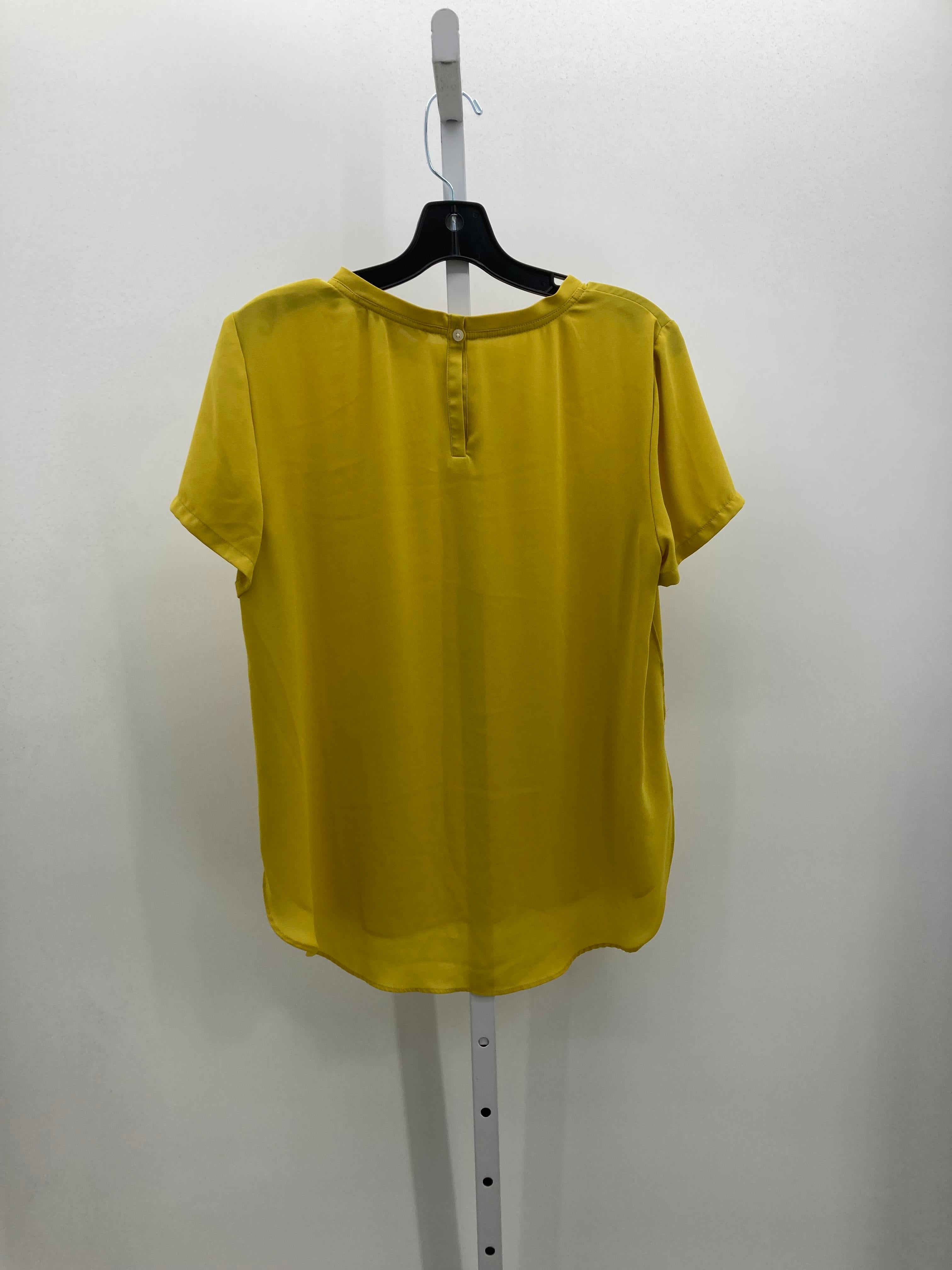 Loft Size Medium Misses Short Sleeve Shirt
