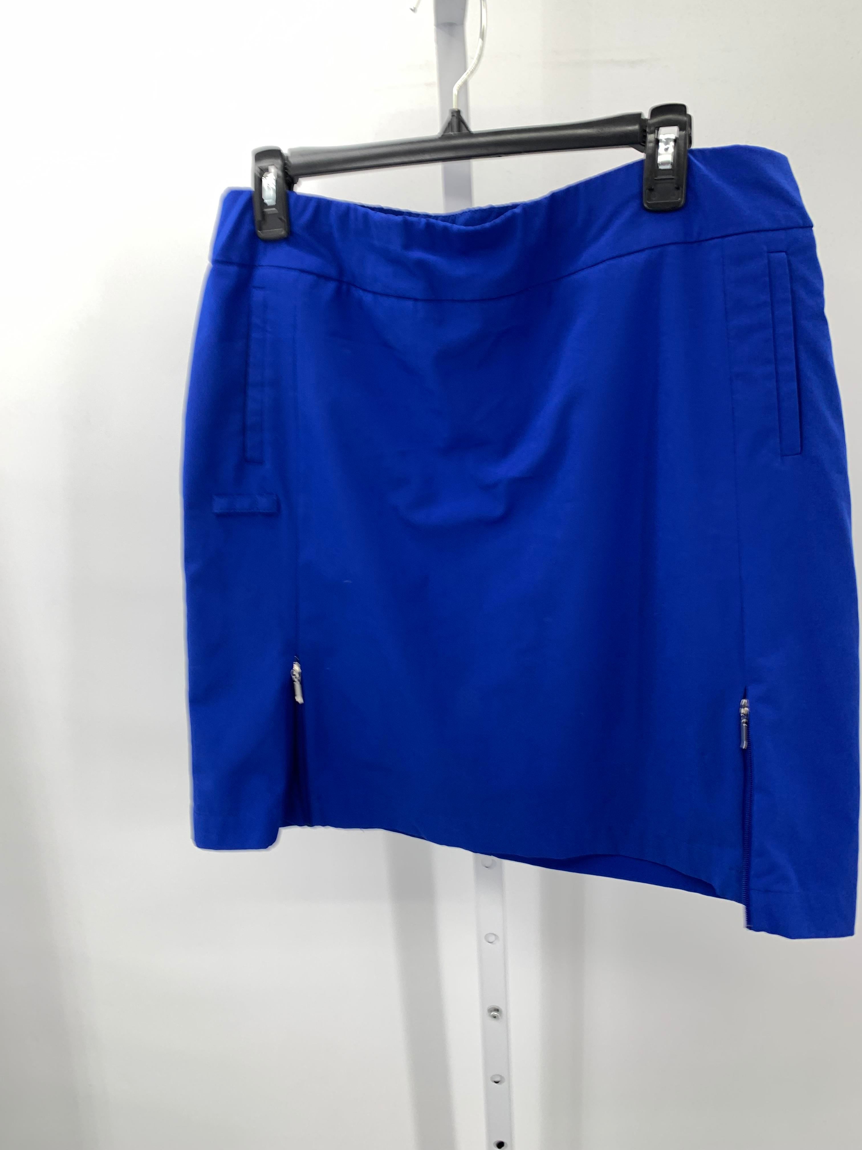 Chico's Size 10 Misses Skirt