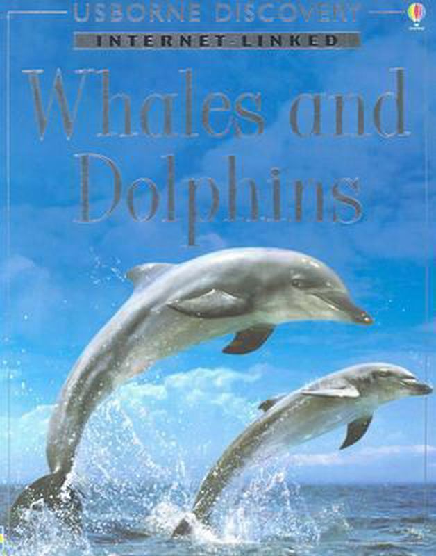 Whales and Dolphins by Susannah Davidson - Davidson, Susan