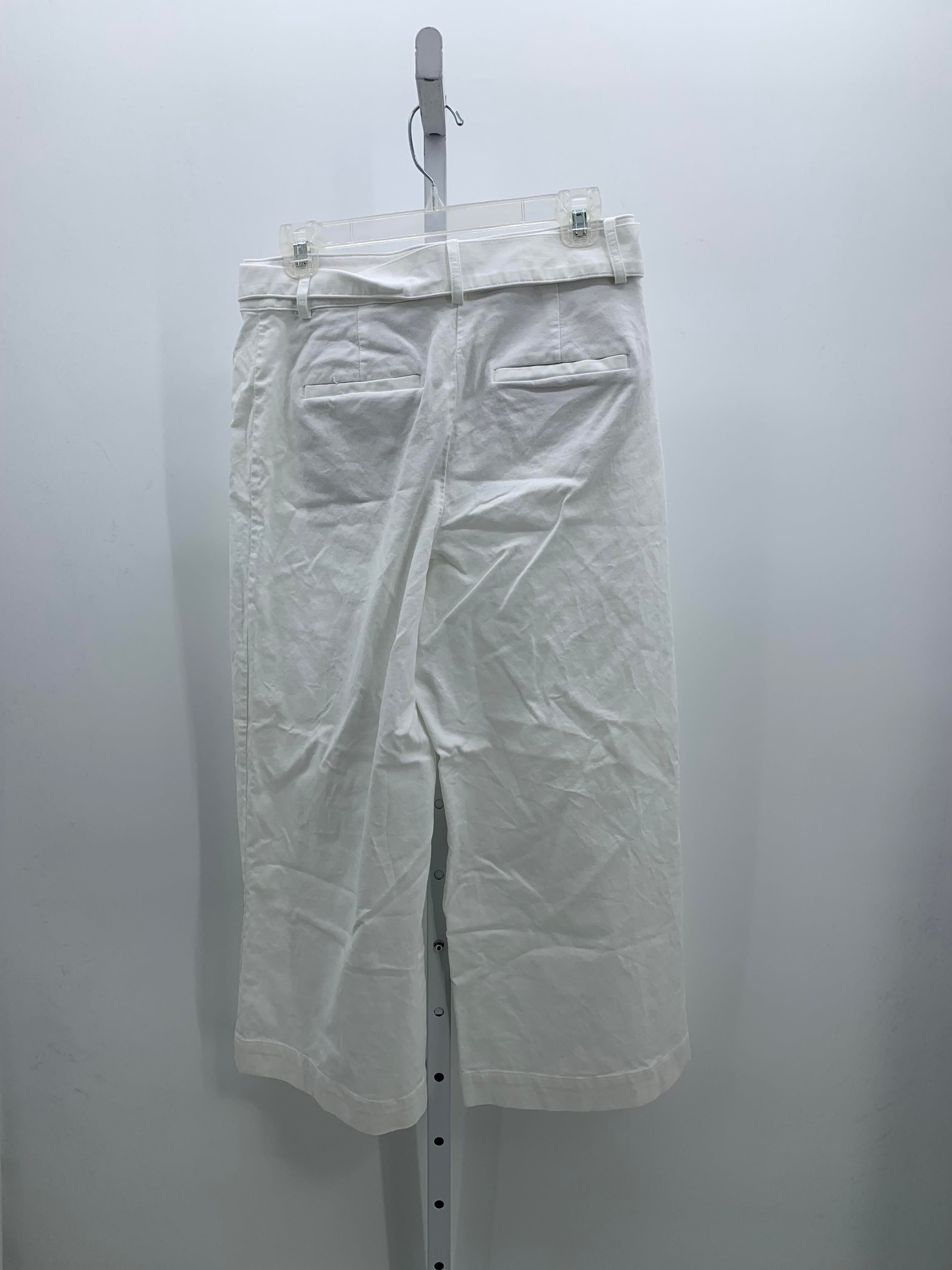 Loft Size 6 Misses Pants