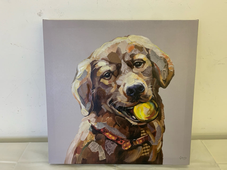 BROWN LAB W/ BALL IN MOUTH CANVAS.