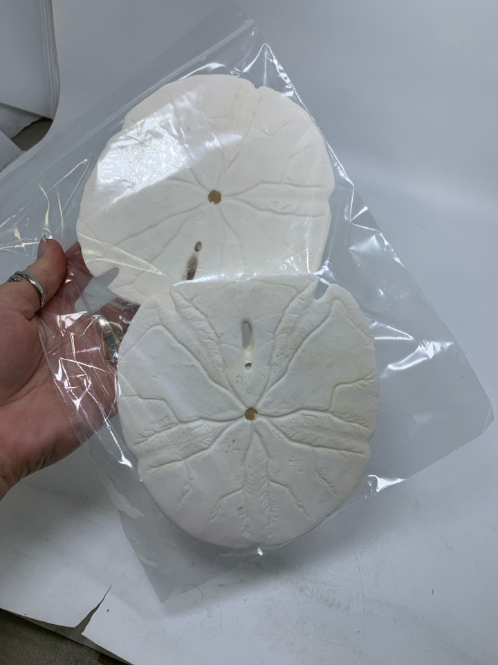 2 LARGE SAND DOLLARS IN BAG.
