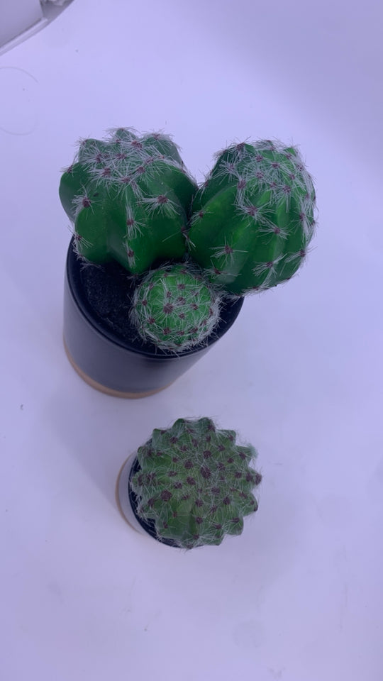 2 PC FAUX CACTI IN BLACK PLANTERS W/ WOOD BOTTOM.