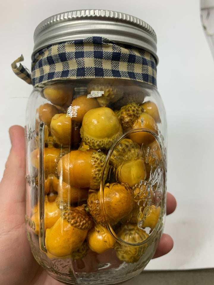 BALL JAR FULL OF FAUX ACORNS.