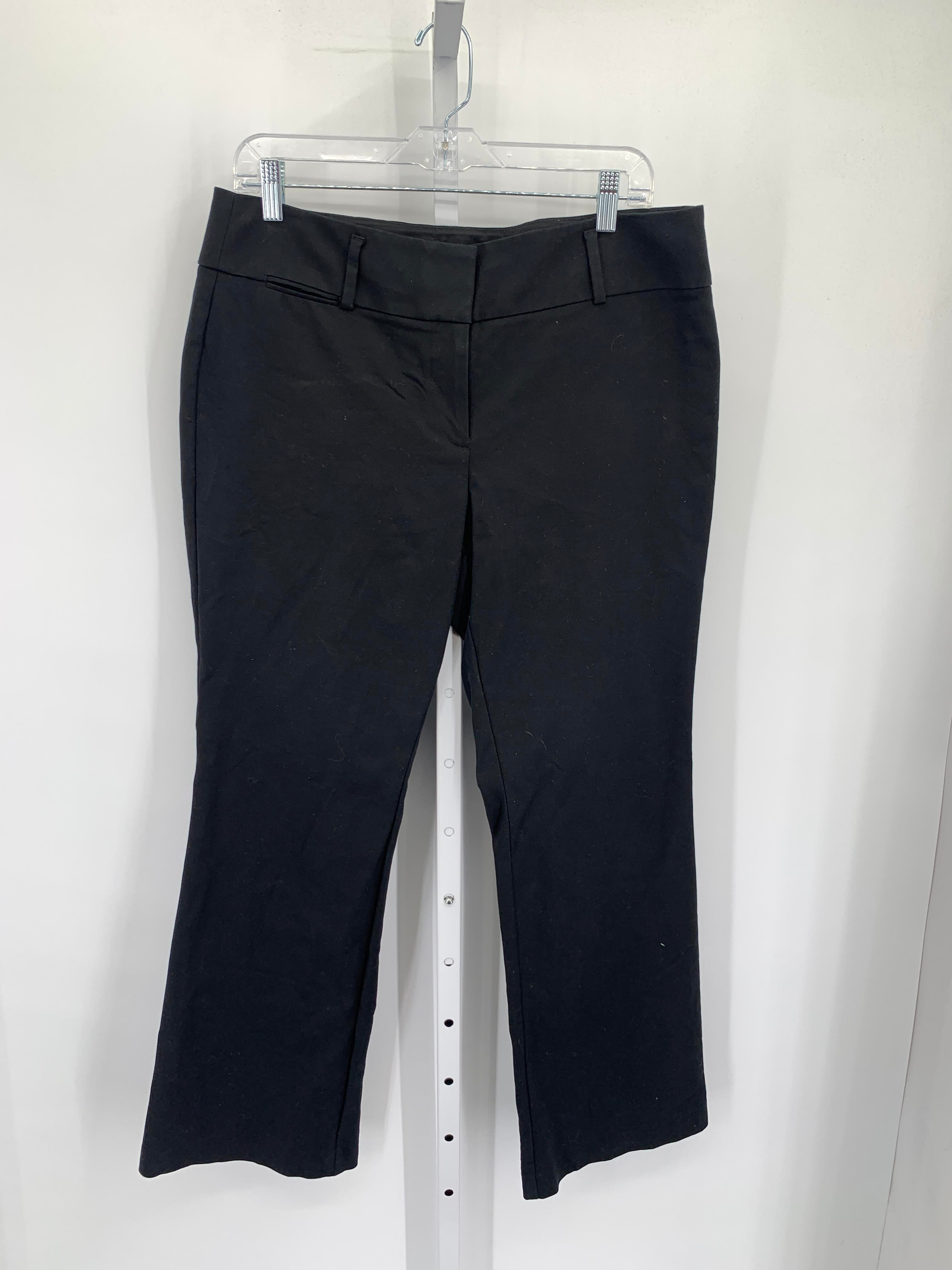 Loft Size 12 Misses Pants