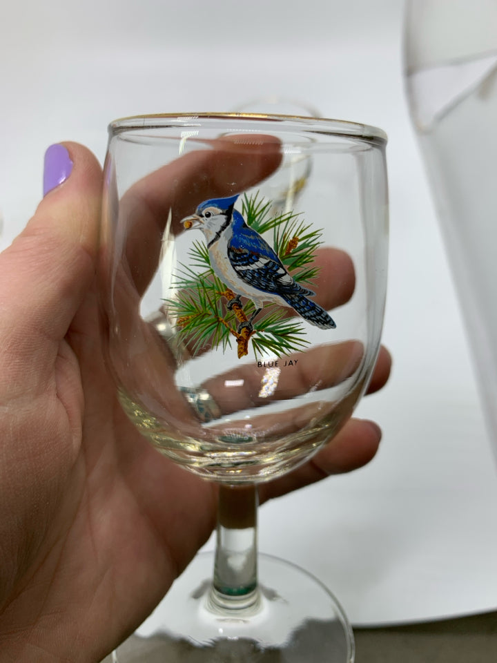 6 SMALL CORDIAL GLASSES W/ PRINTED NEW ENGLAND BIRDS.