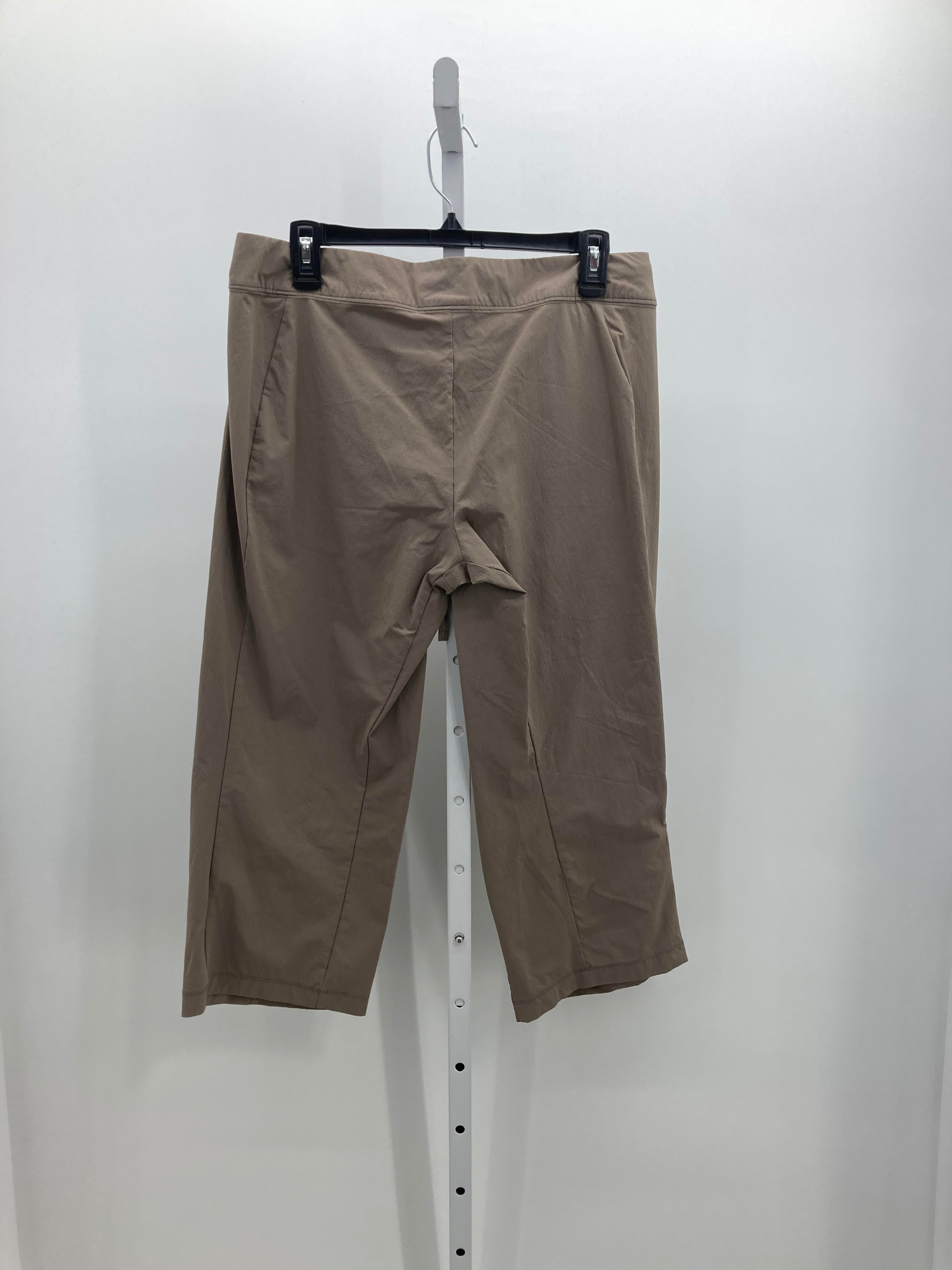 Size 10 Misses Capri Pants