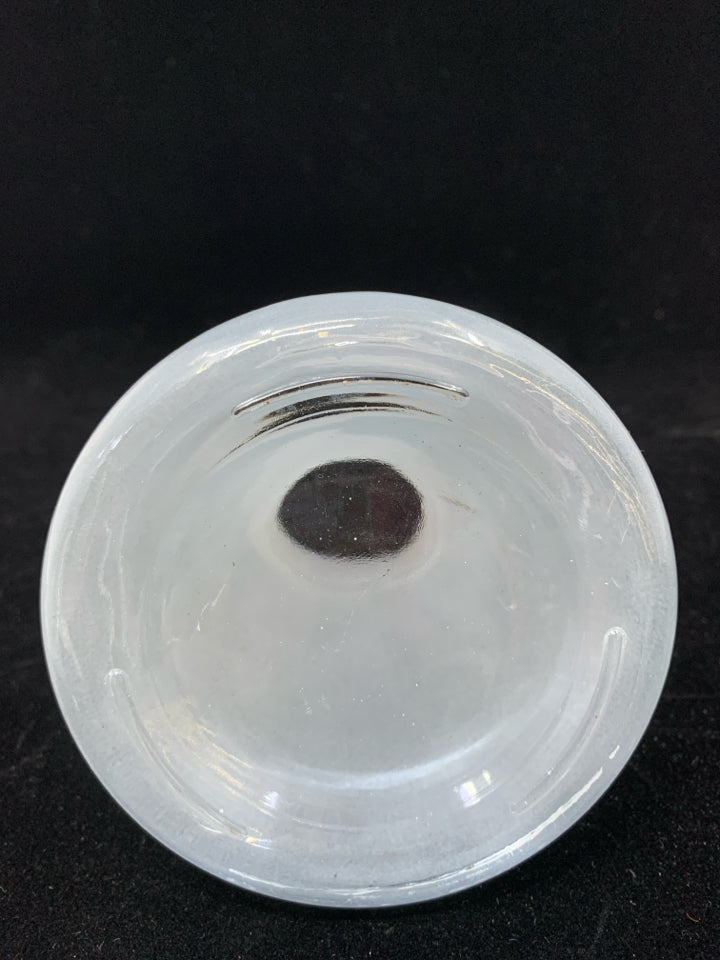 OPAQUE SMALL AVOCADO SEED STARTER.