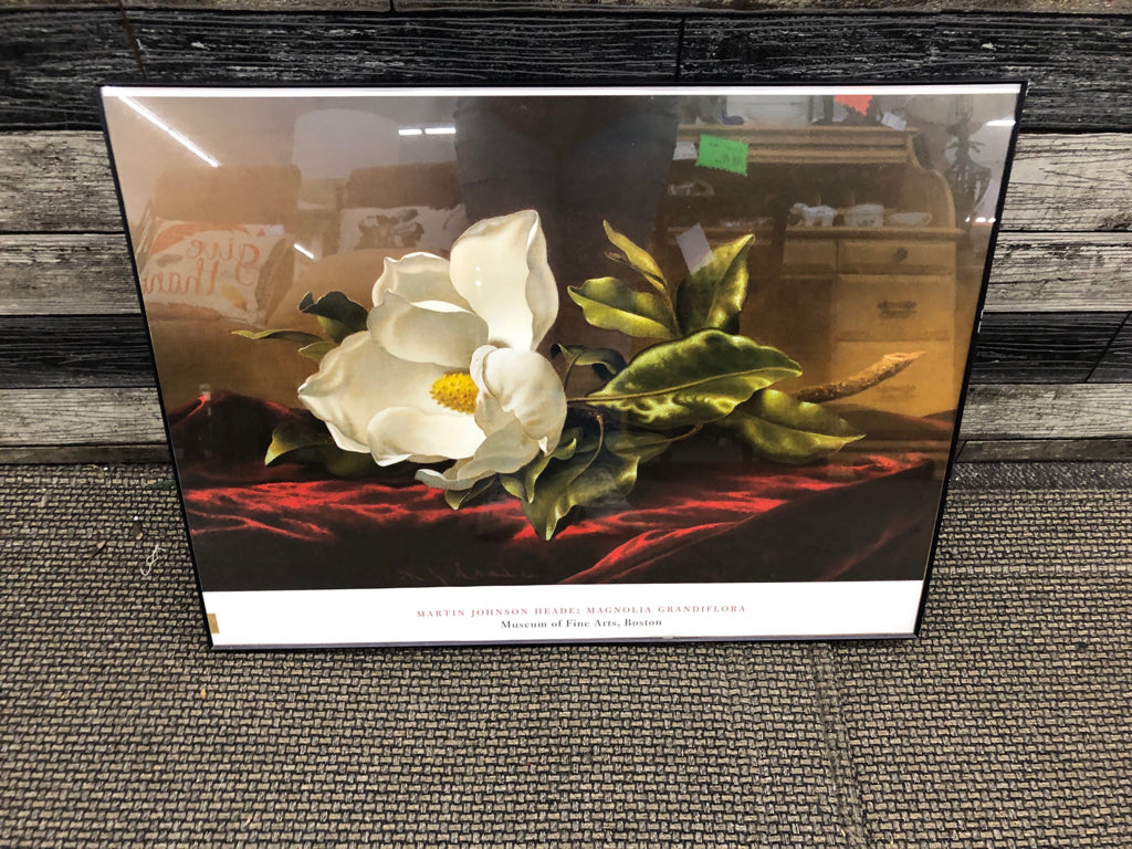 MARTIN JOHNSON MAGNOLIA PRINT IN BLACK FRAME.