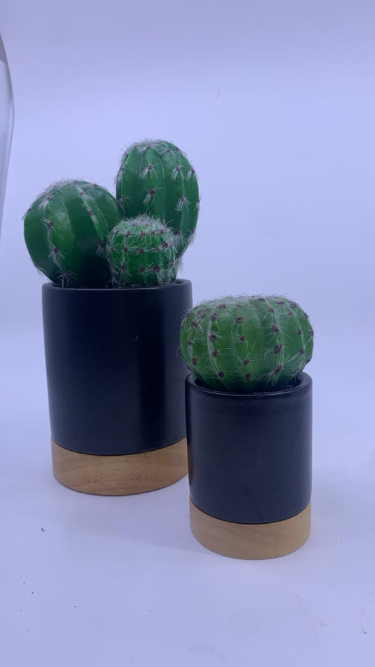 2 PC FAUX CACTI IN BLACK PLANTERS W/ WOOD BOTTOM.