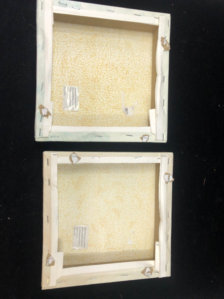 2 SMALL SQUARE ASSORTED SUCCULENTS CANVAS.