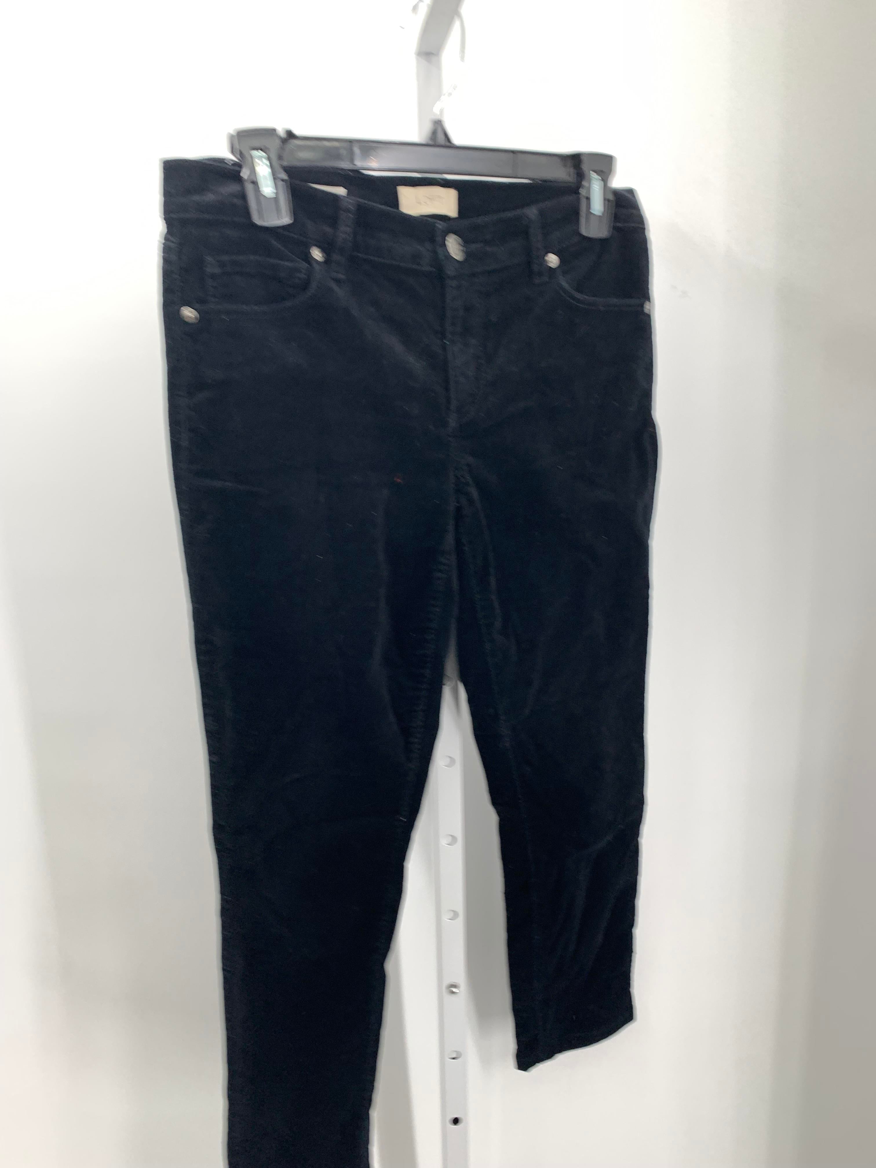 Loft Size 4 Misses Pants