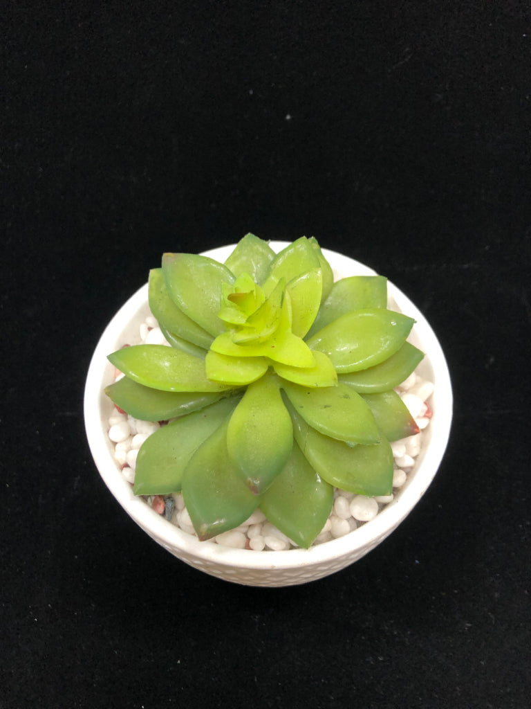 FAUX SUCCULENT IN WHITE DIAMOND STYLE VASE.