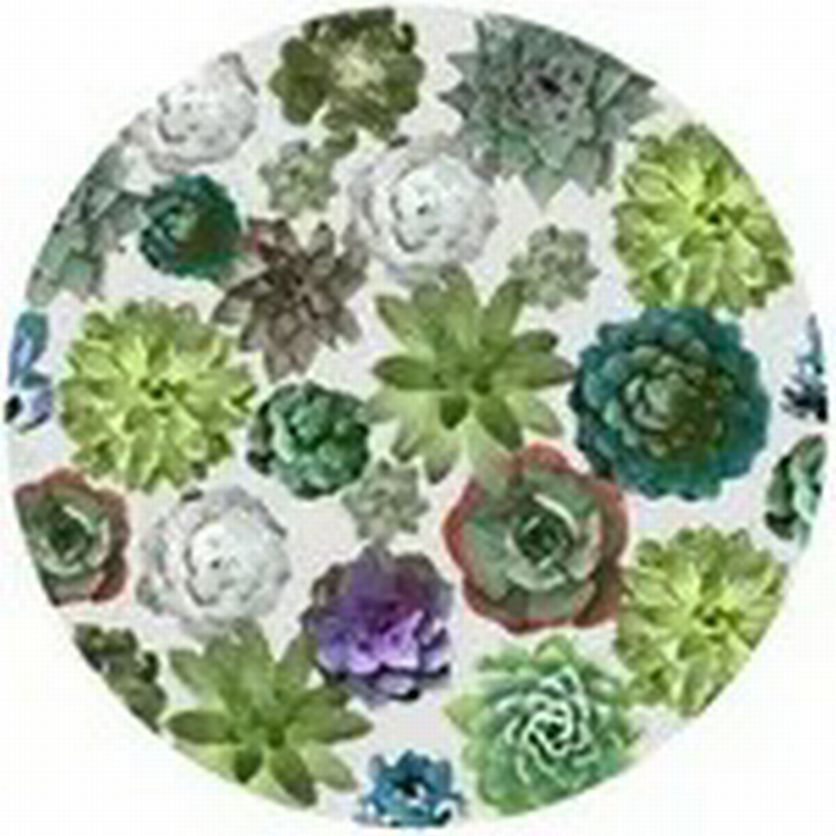 New - Andreas Silicon Jar Opener - Succulant