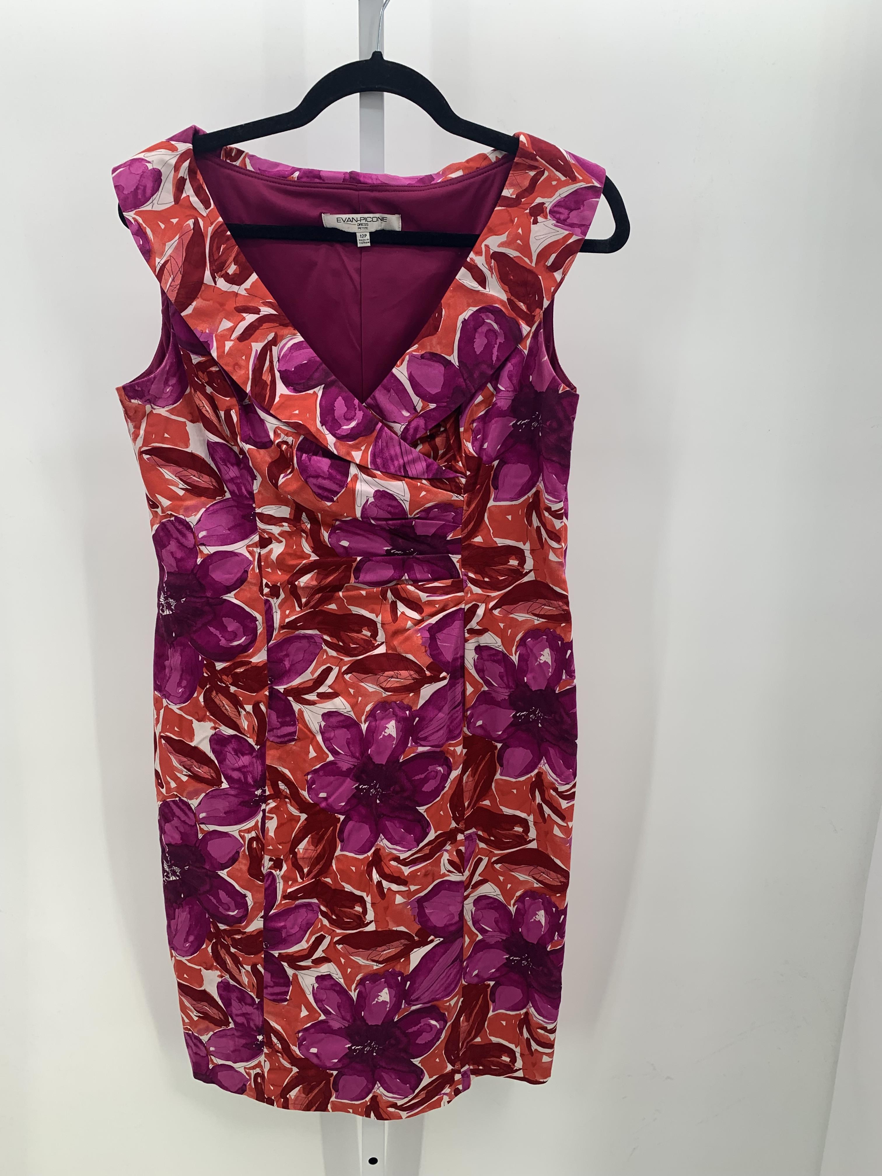 Evan-Picone Size 12 Petite Petite Sleeveless Dress